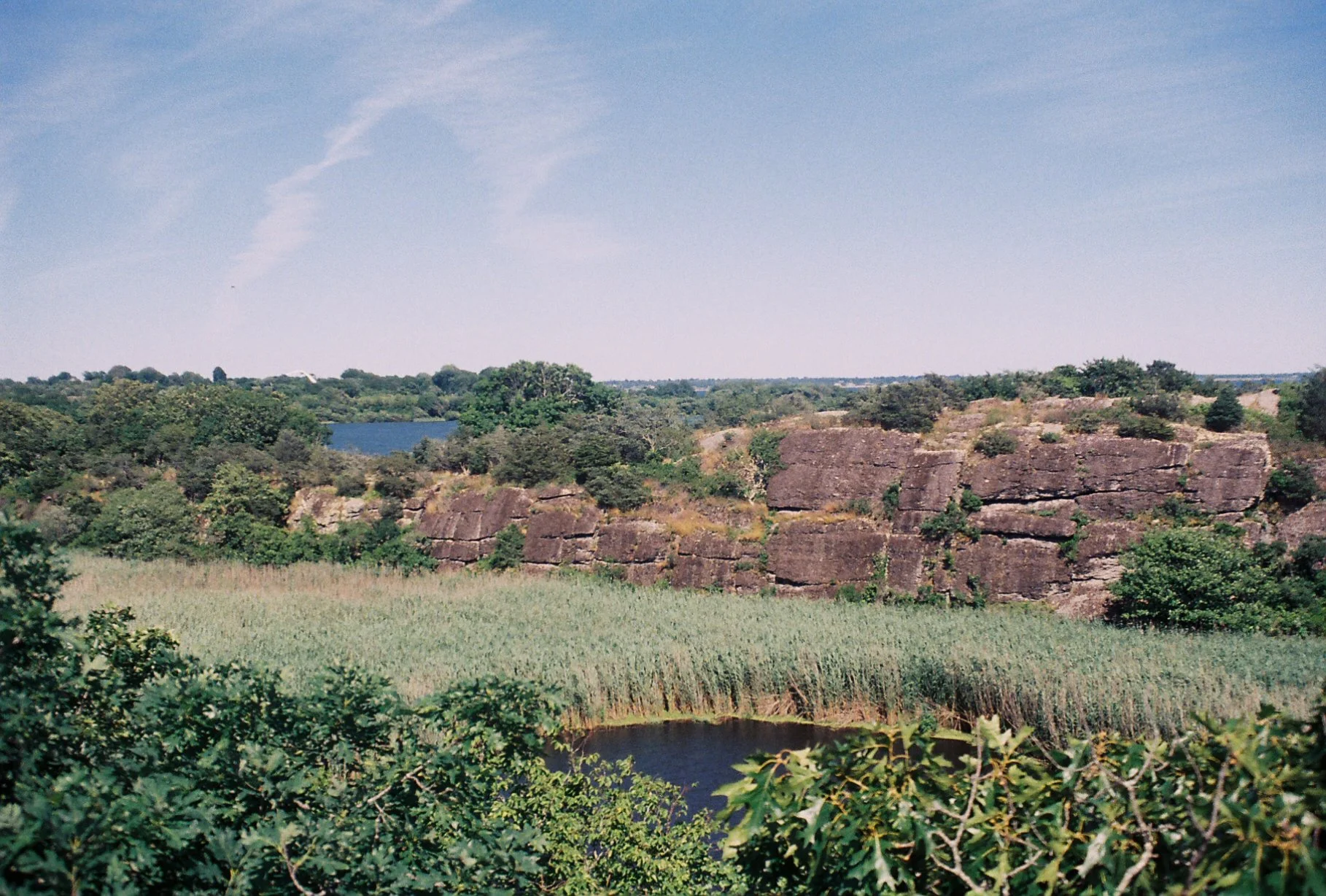 BIRD SANCTUARY