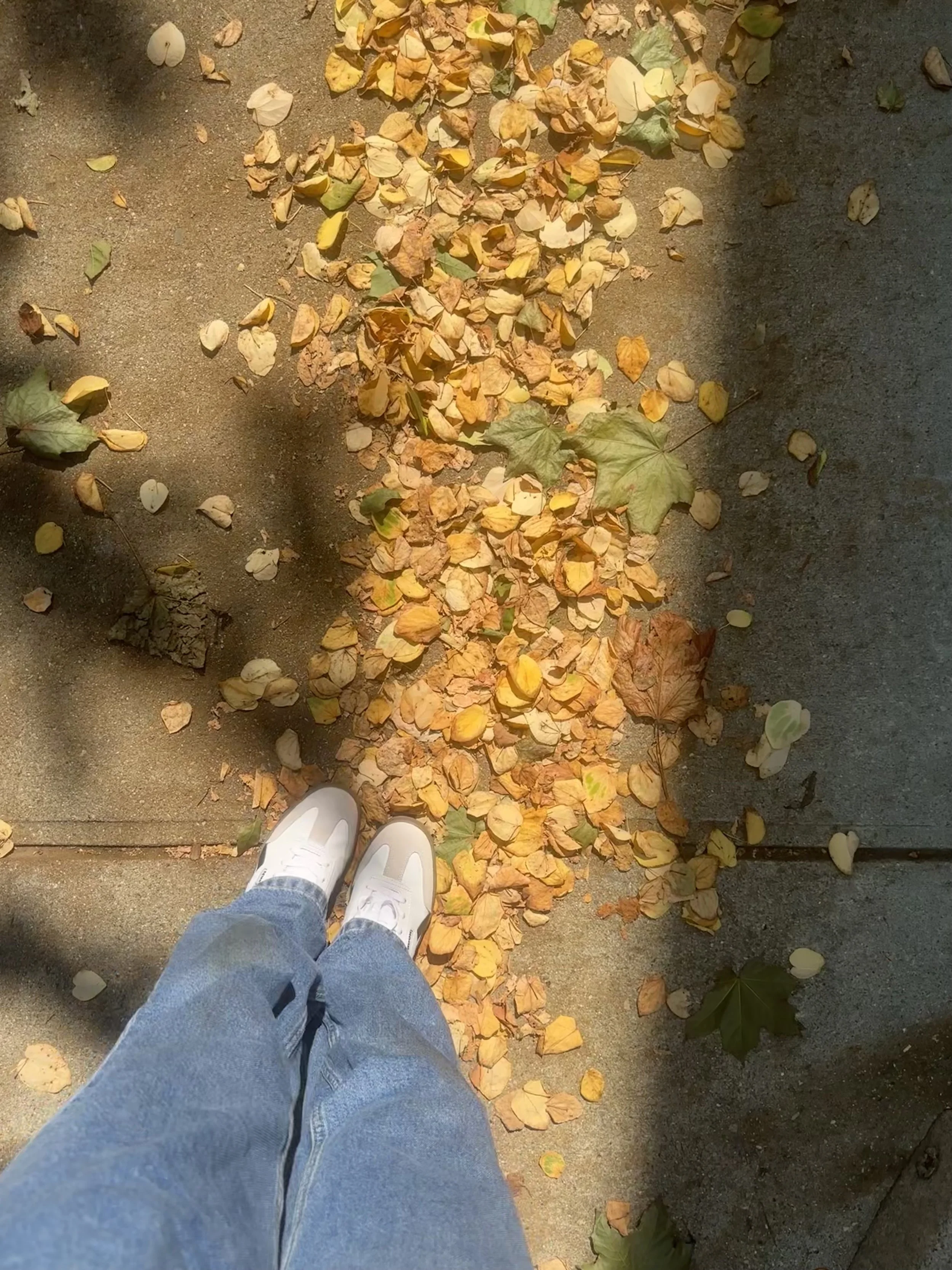 WALK TO WORK