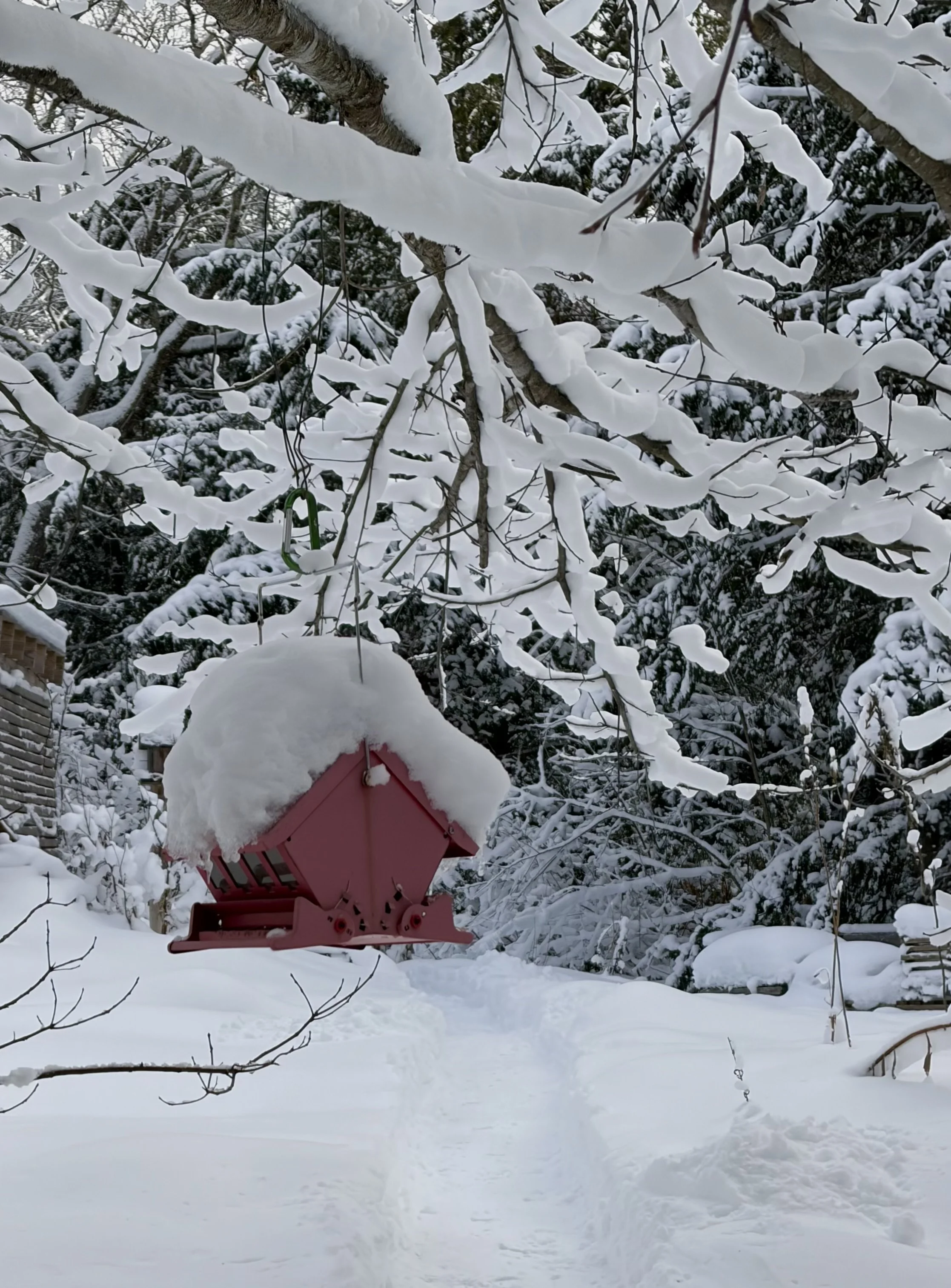 BIRDHOUSE
