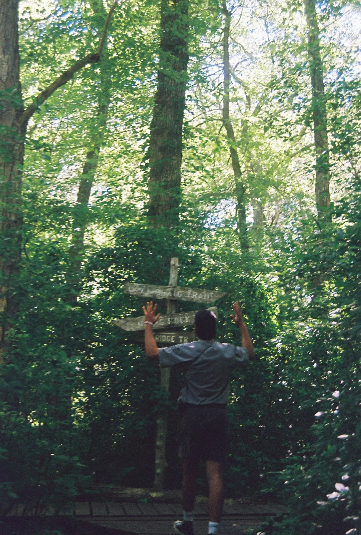 BIRD SANCTUARY