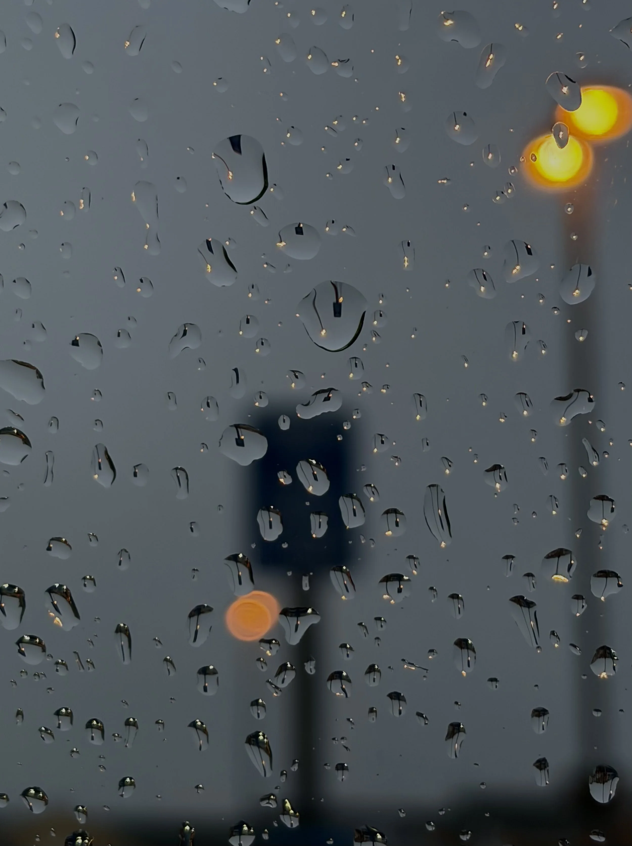 WET POLE 