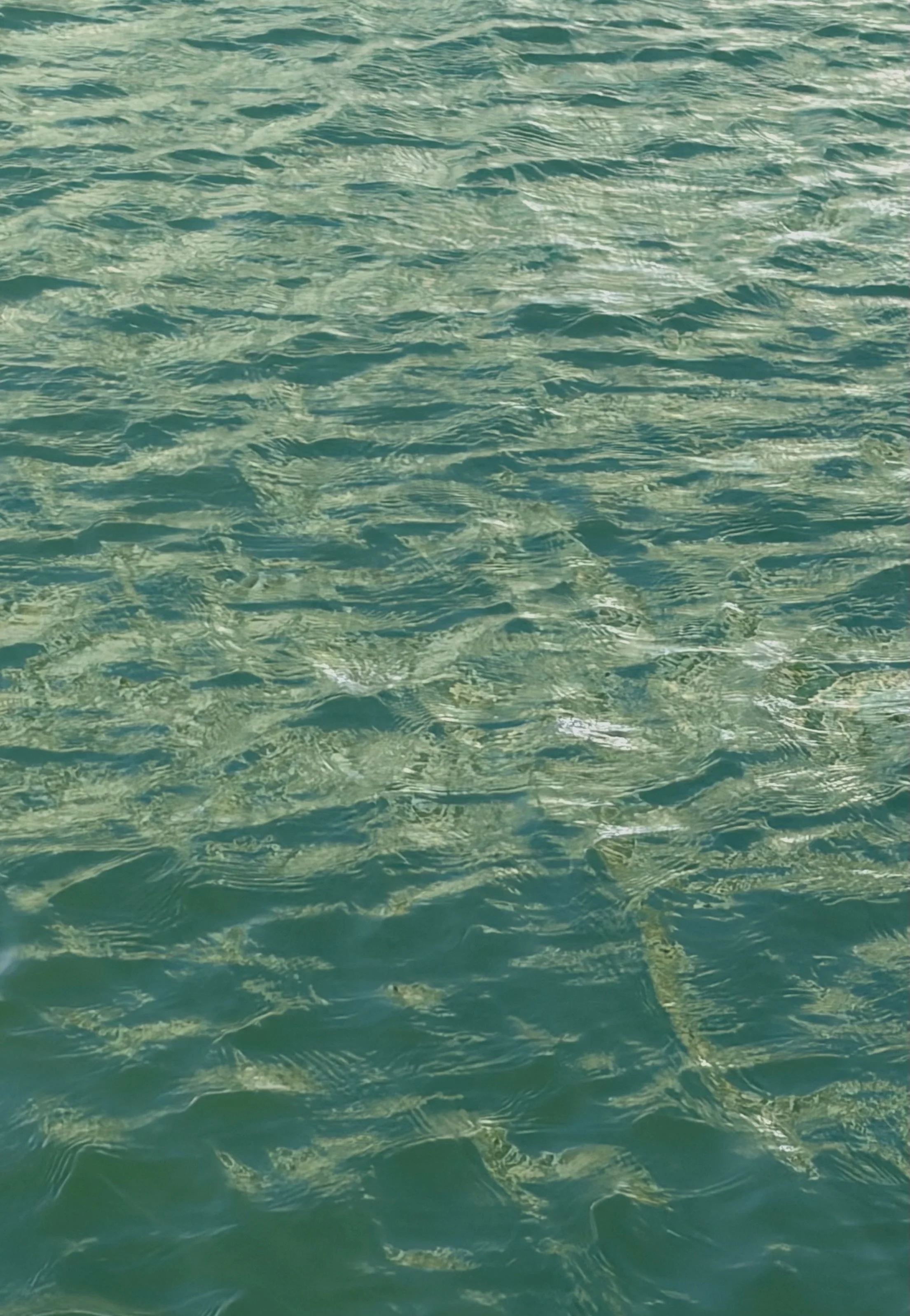 WATER
