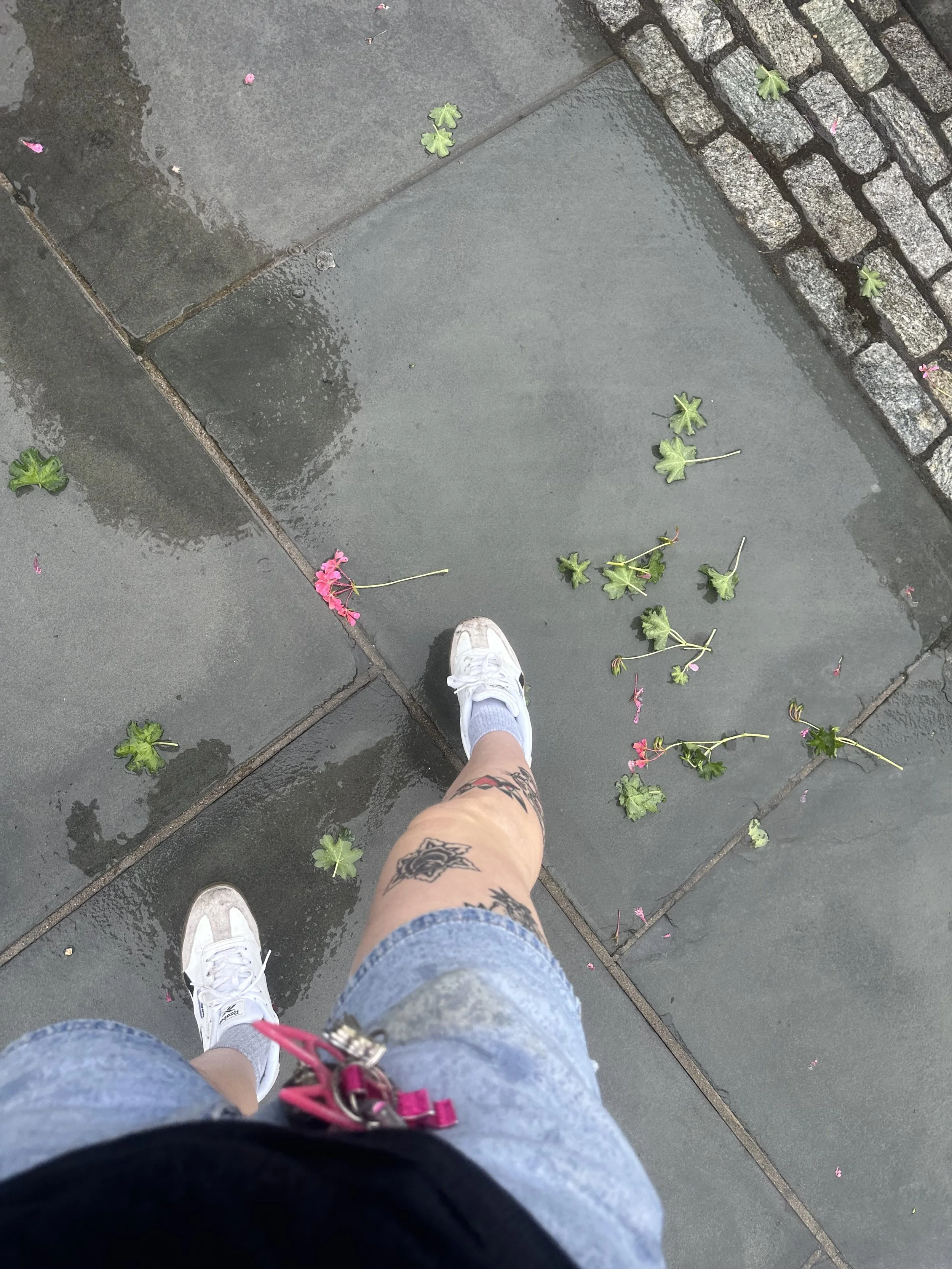 WALK HOME