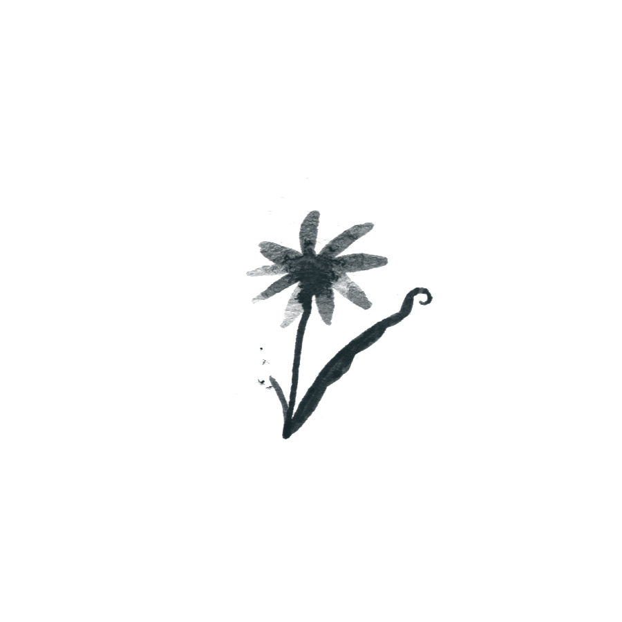 A black and white drawing of a flower with a single stem, multiple petals, and a curly line extending from the stem.