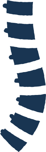 Illustration of a human spine in blue with labeled vertebrae