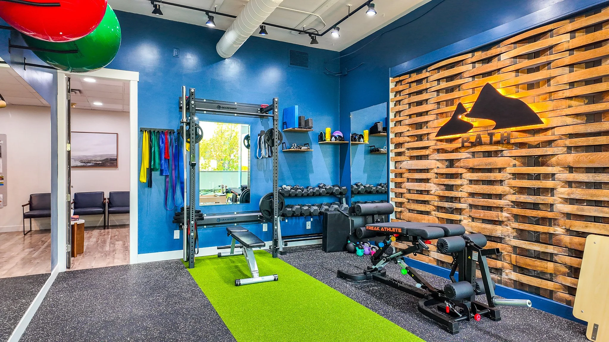Modern fitness gym with squat rack, dumbbells, resistance bands, benches, and illuminated dolphin logo on a wood accent wall