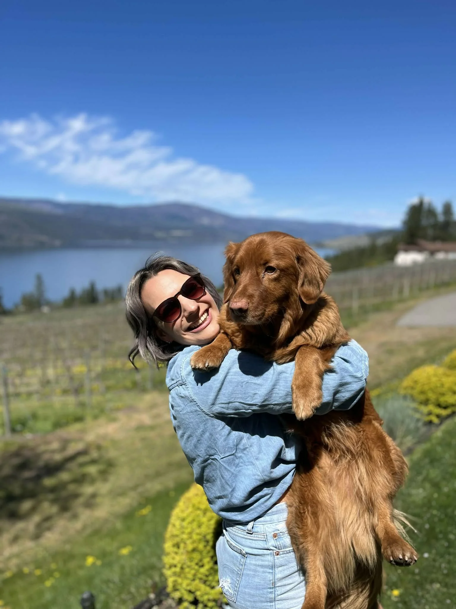 A woman with short gray hair, sunglasses, and a blue shirt holding a large, brown dog outdoors on a sunny day with a lake and mountains in the background.