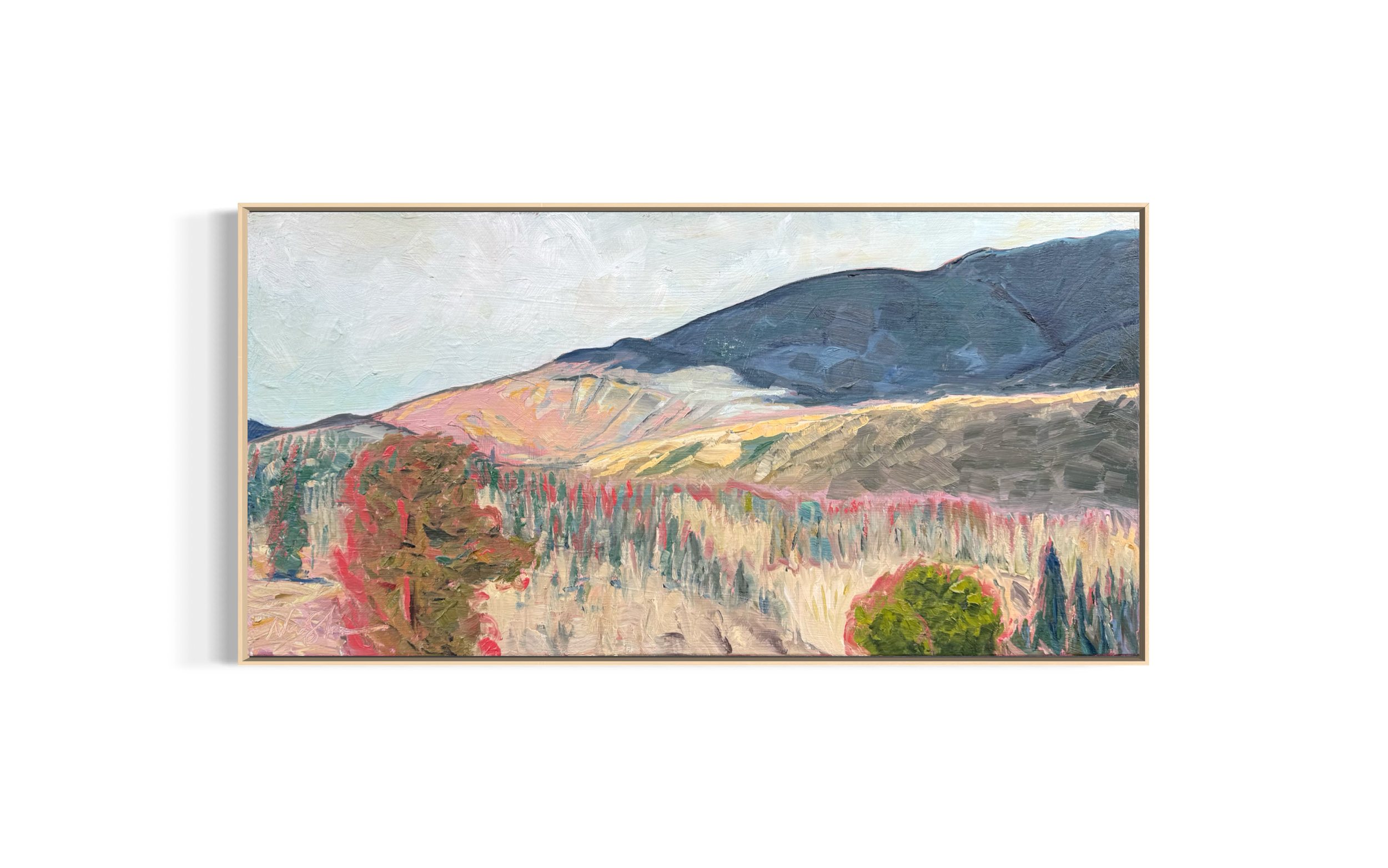 Storm Shadow over Silverthon, Winter, 23.9 x 11.9, Oil on Panel ($1,000 framed, $900 unframed)