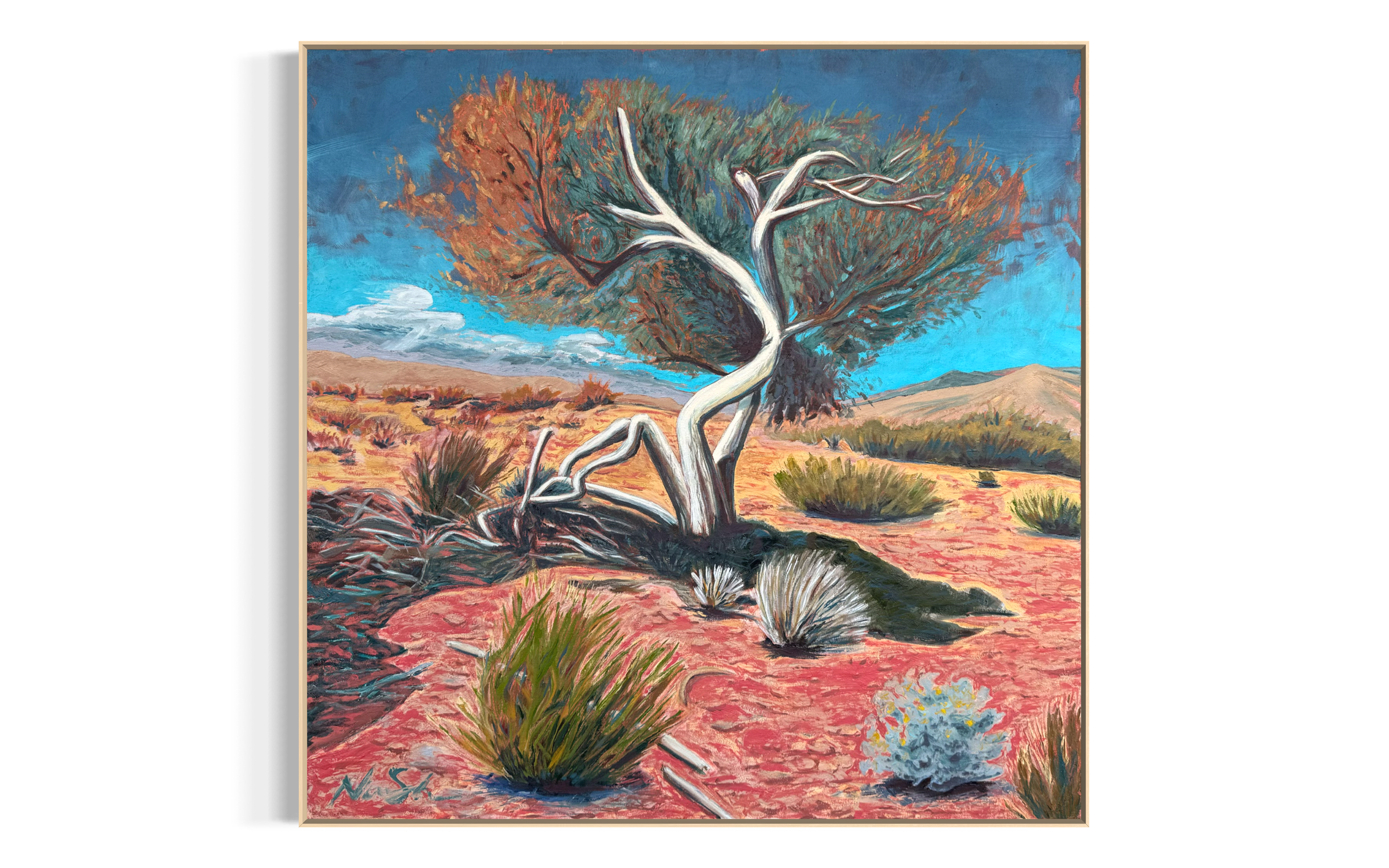 Lone Ironwood, Fall, 40.2 x 40, Oil on Canvas ($5,200 framed, $4,800 unframed)