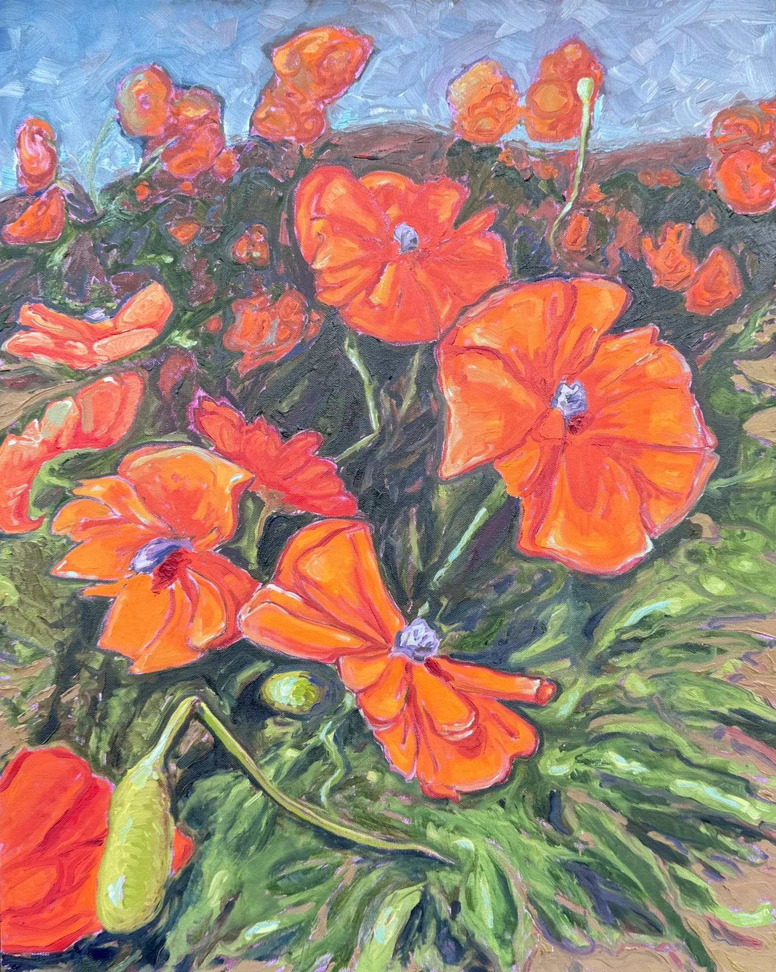 "Fly Shop Poppies" 24 x 30, Oil on Canvas, $2800 framed, $2600 unframed