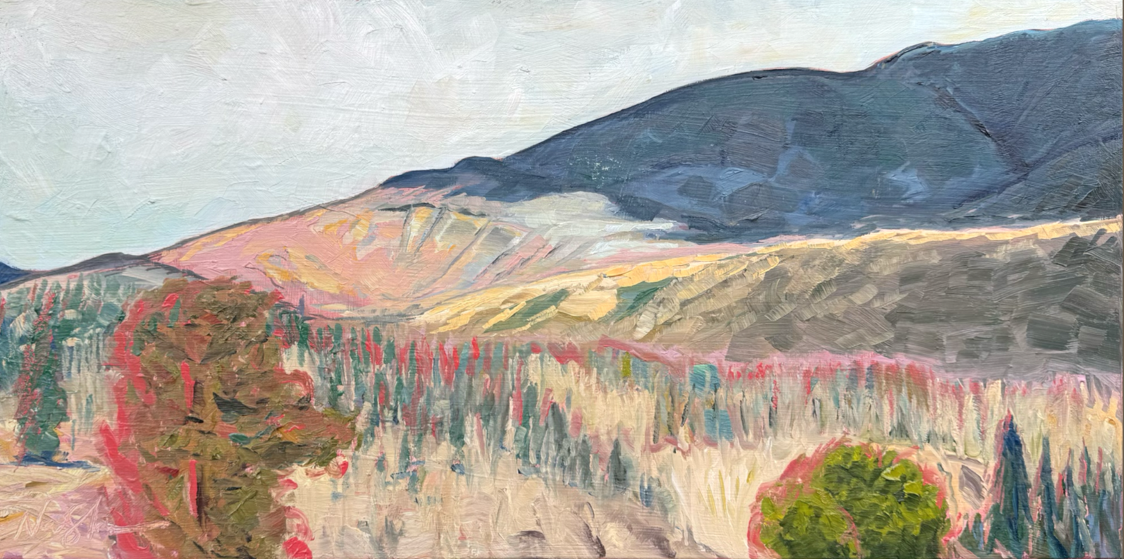 Storm Shadow over Silverthorne, Winter, 24 x 12, Oil on Panel ($1,150 framed, $1000 unframed)