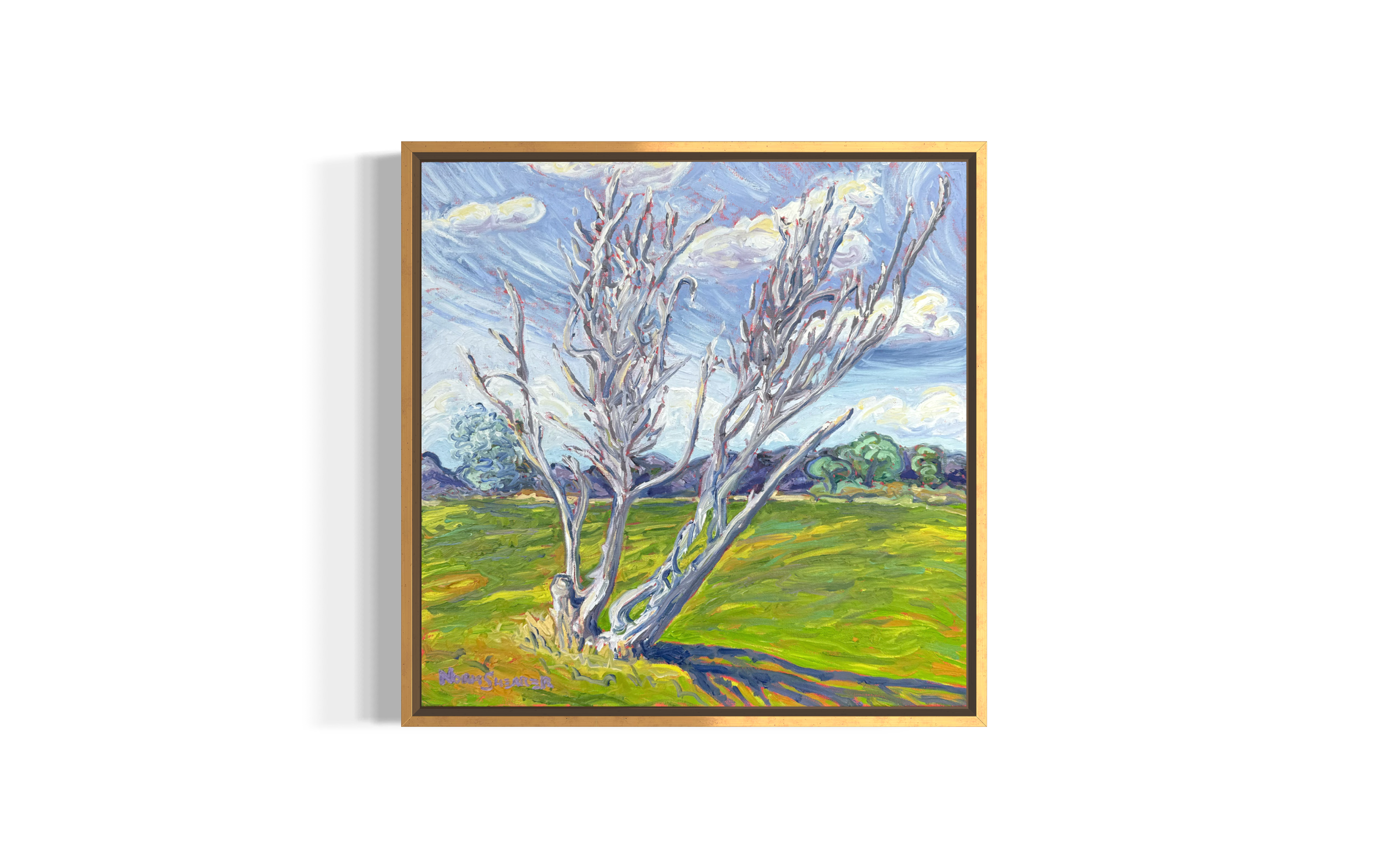 Jim's Tree, Oil on Canvas, 20 x 20