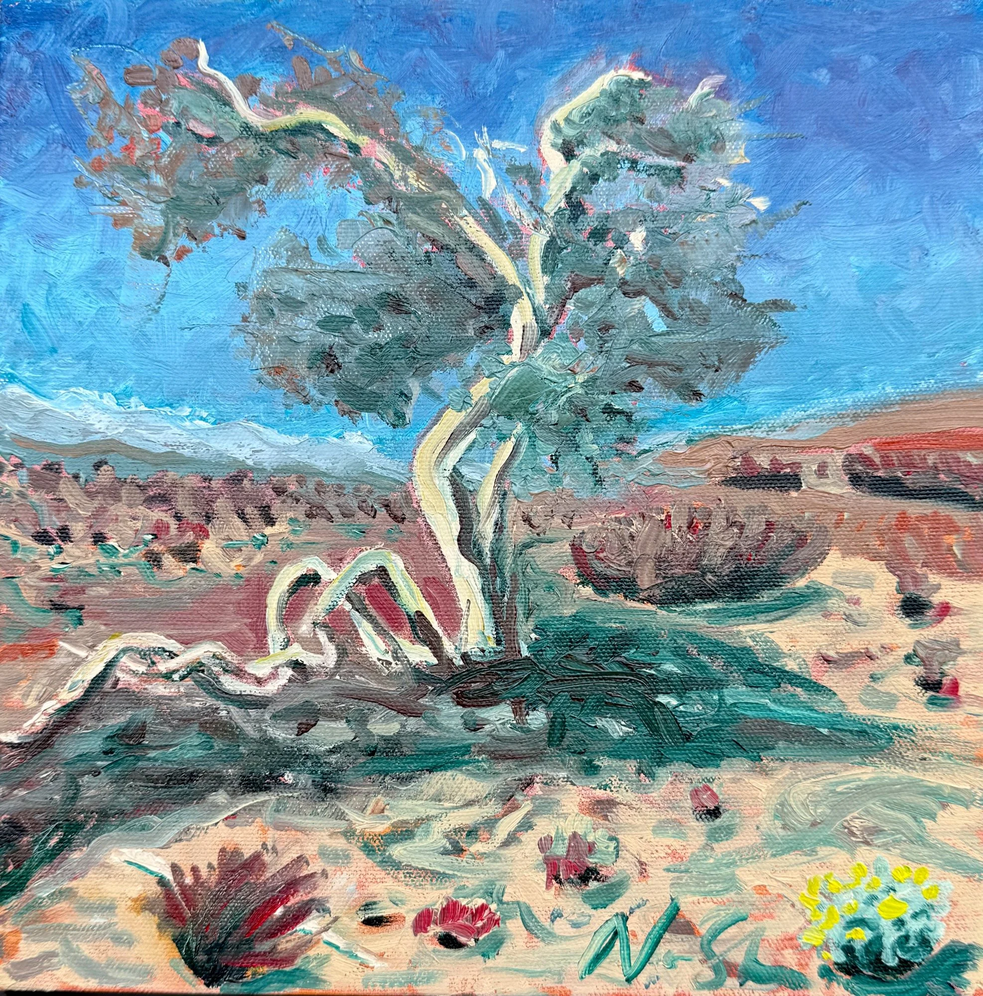 "Ironwood Study 2" 10 x 10, Oil on Canvas, $400 framed, $350 unframed
