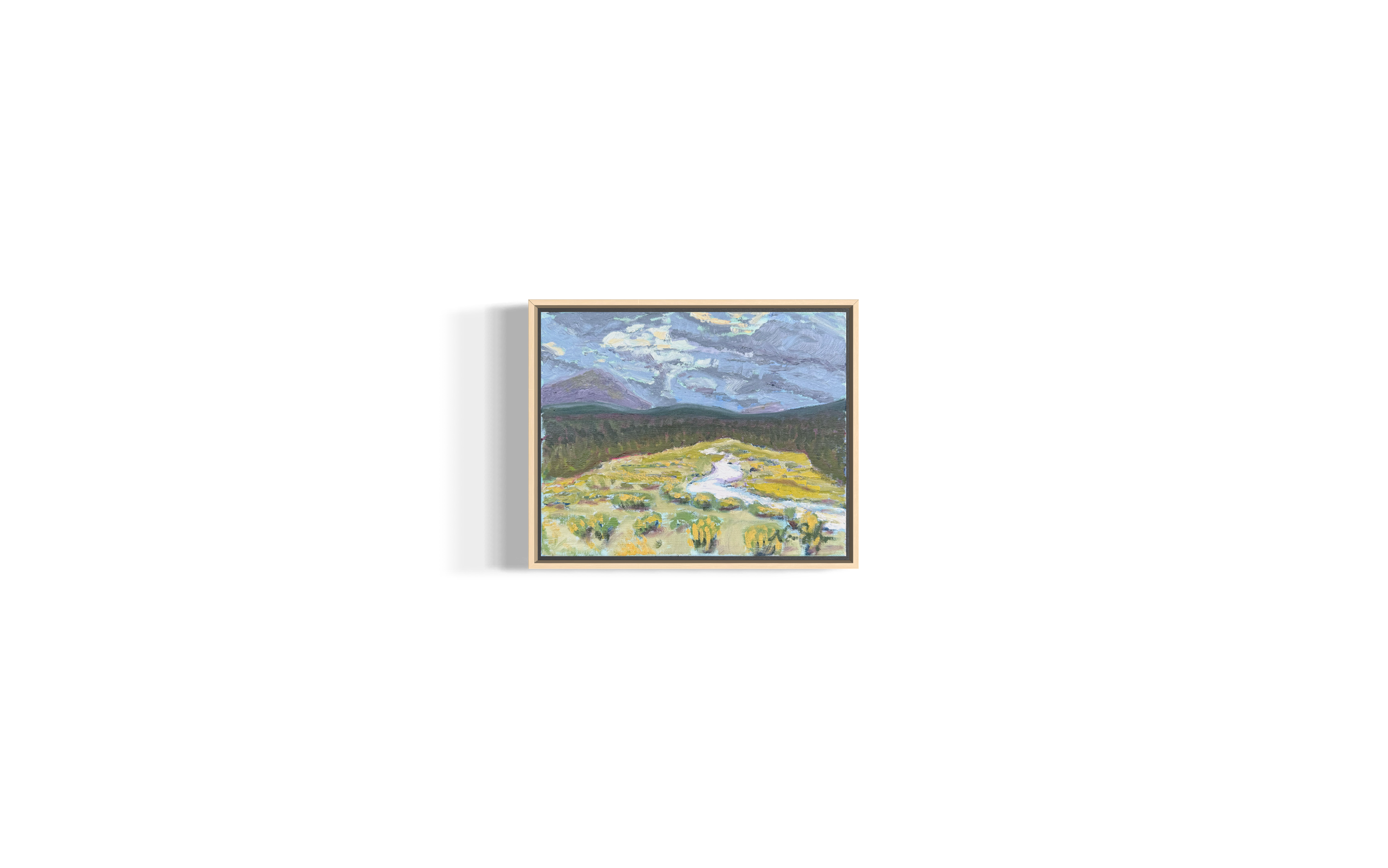 Meadow below Little Baldy Mountain, Summer, 10 x 8, Oil on Canvas ($ 340 framed, $240 unframed)