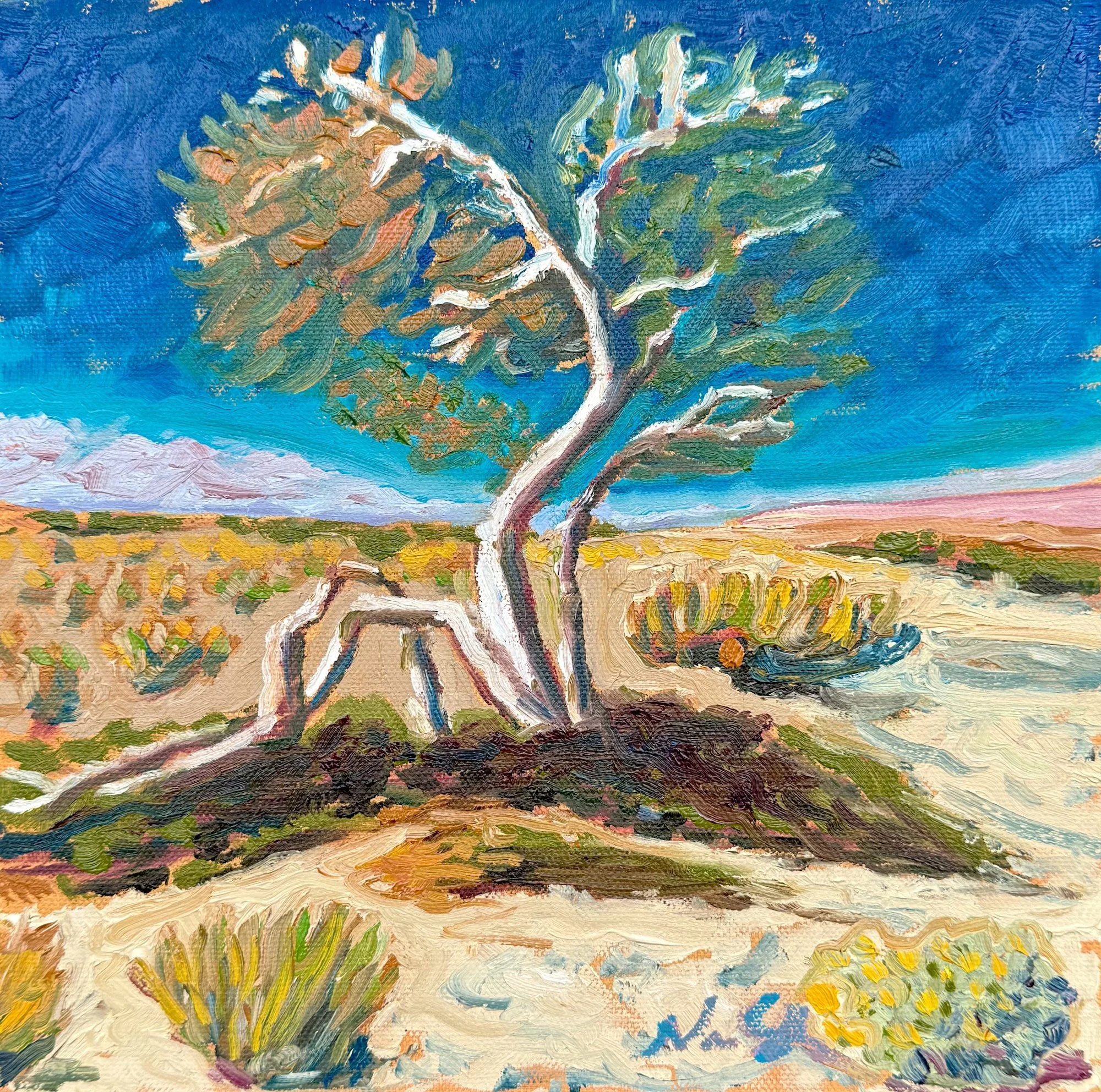 "Ironwood Study 3" 10 x 10, Oil on Canvas, $400 framed, $350 unframed
