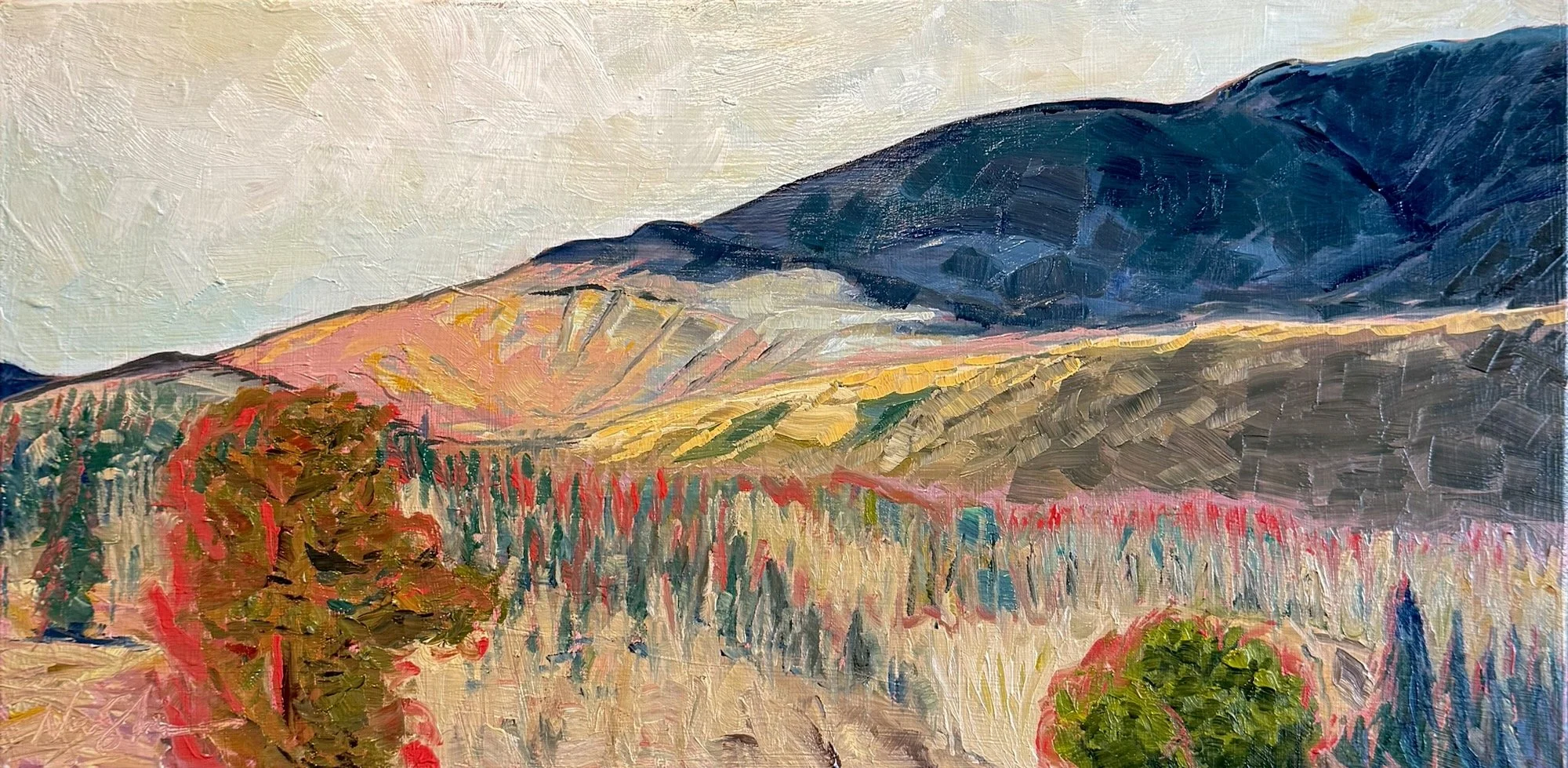 "Storm Shadow over Silverthorne" 24 x 12, Oil on Panel, Private Collection
