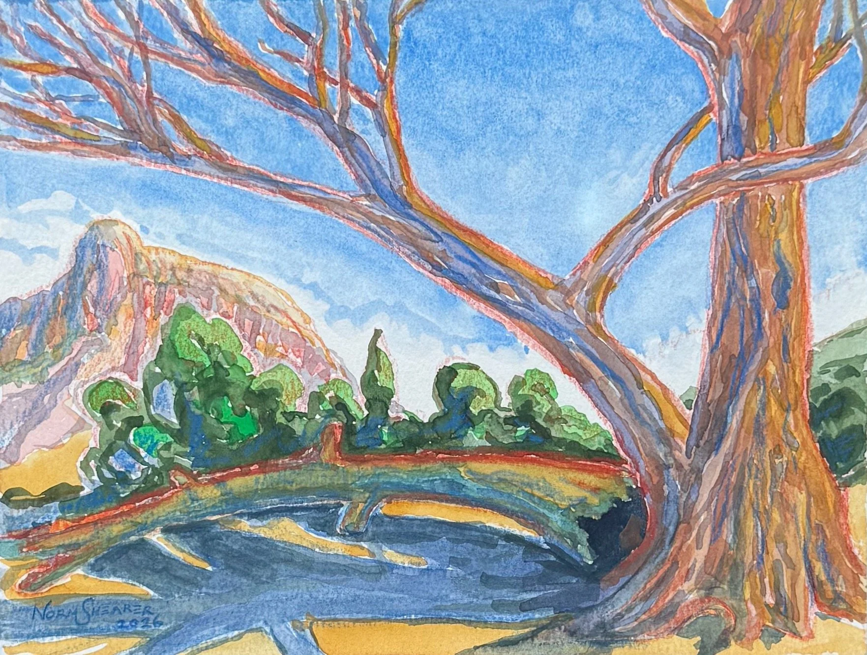 "Fallen Tree, Study 1" 8 x 6, 13. 25 x 11.5 framed, museum glass, Watercolor and color pencil on 140 lb. Arches, $600