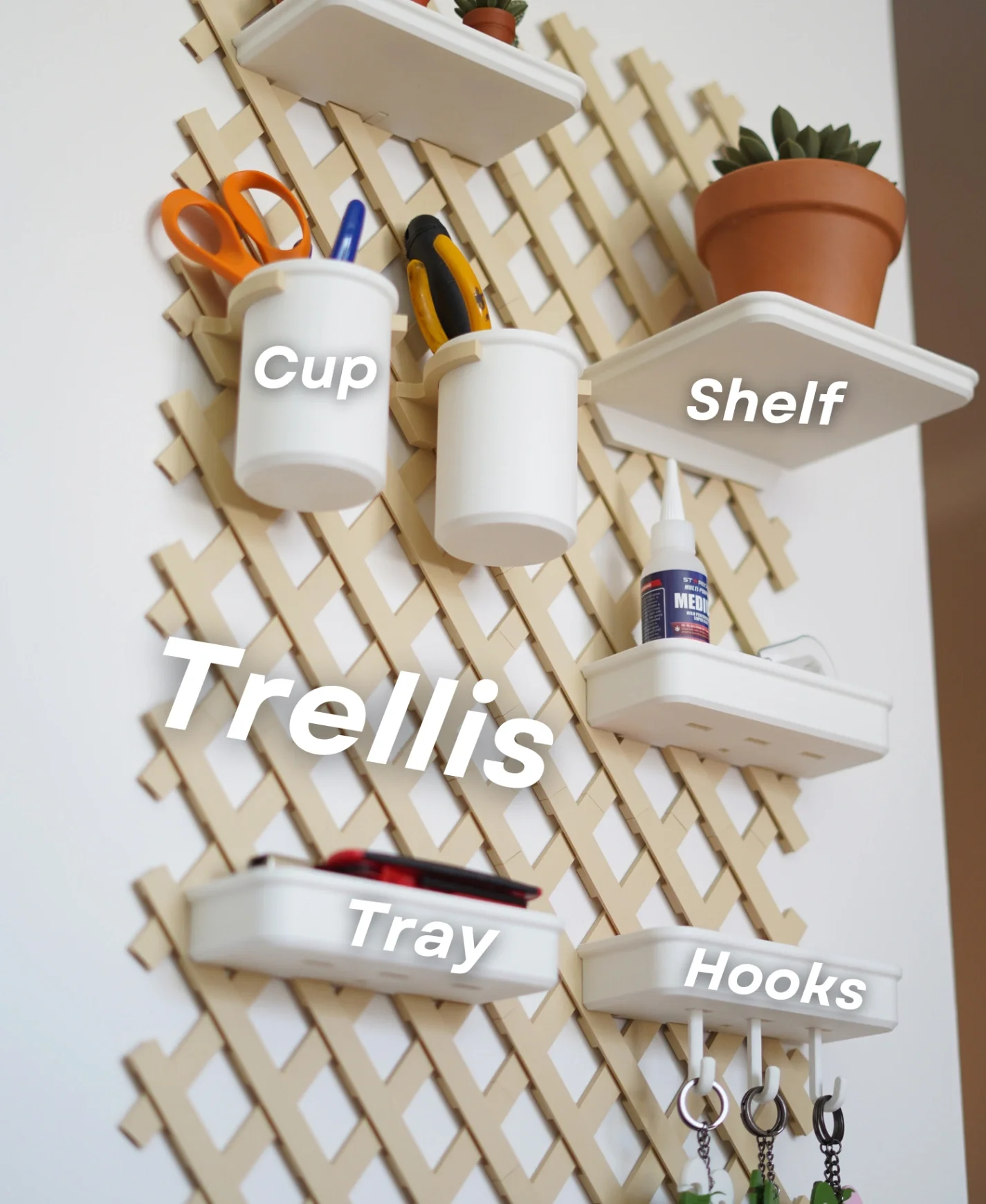 Trellis-3.webp