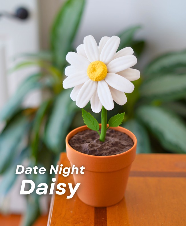 Date_Night_Daisy.webp