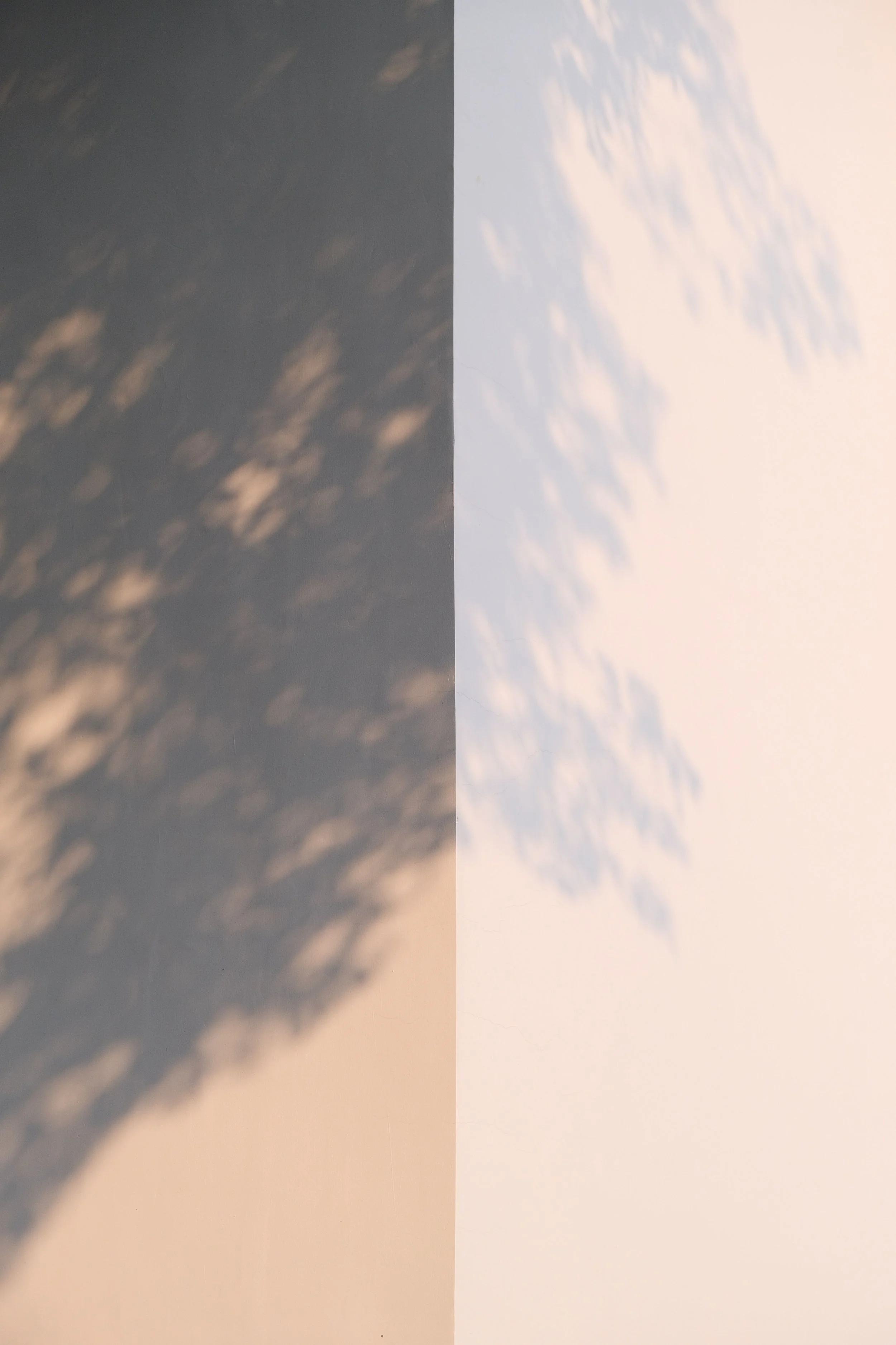 5 Signs of Attachment Trauma (And What Healing Actually Requires)