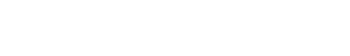 The logo of Paspale, featuring white text on a black background.