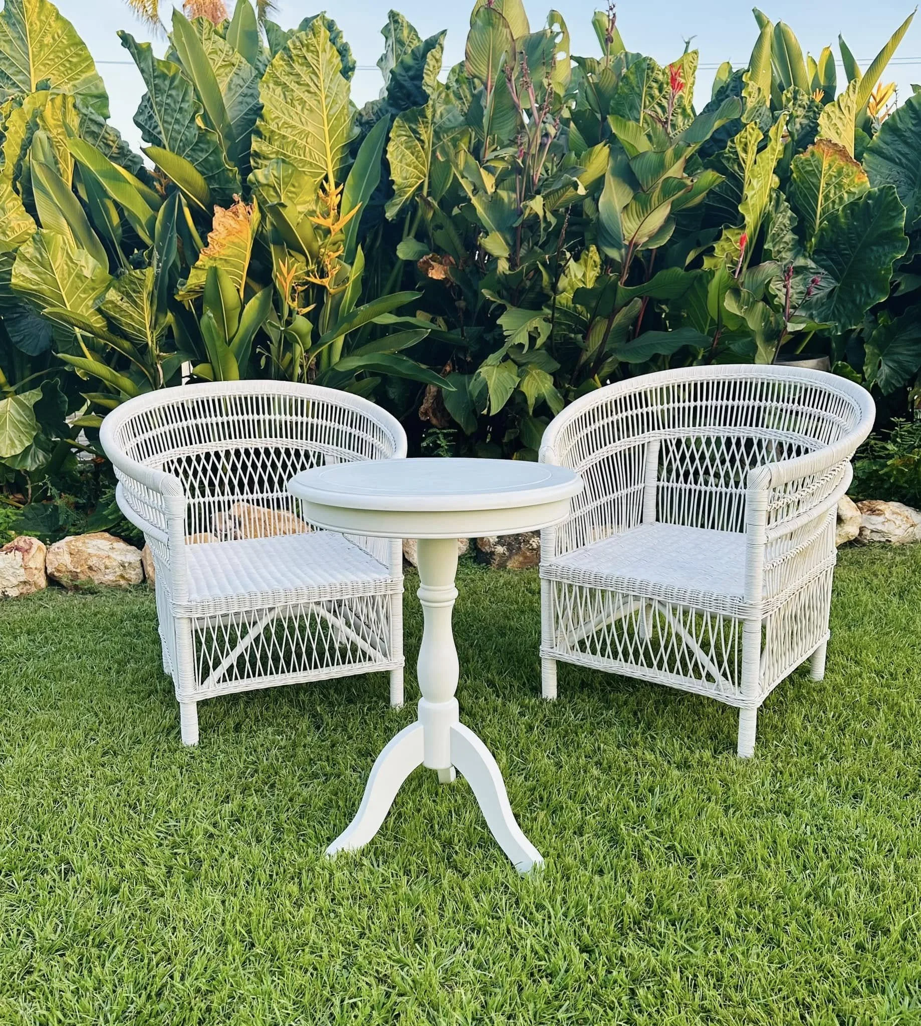 White Rattan Chairs