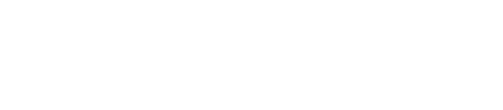 Black and white logo with a stylized S inside a circle followed by the word SIZLER