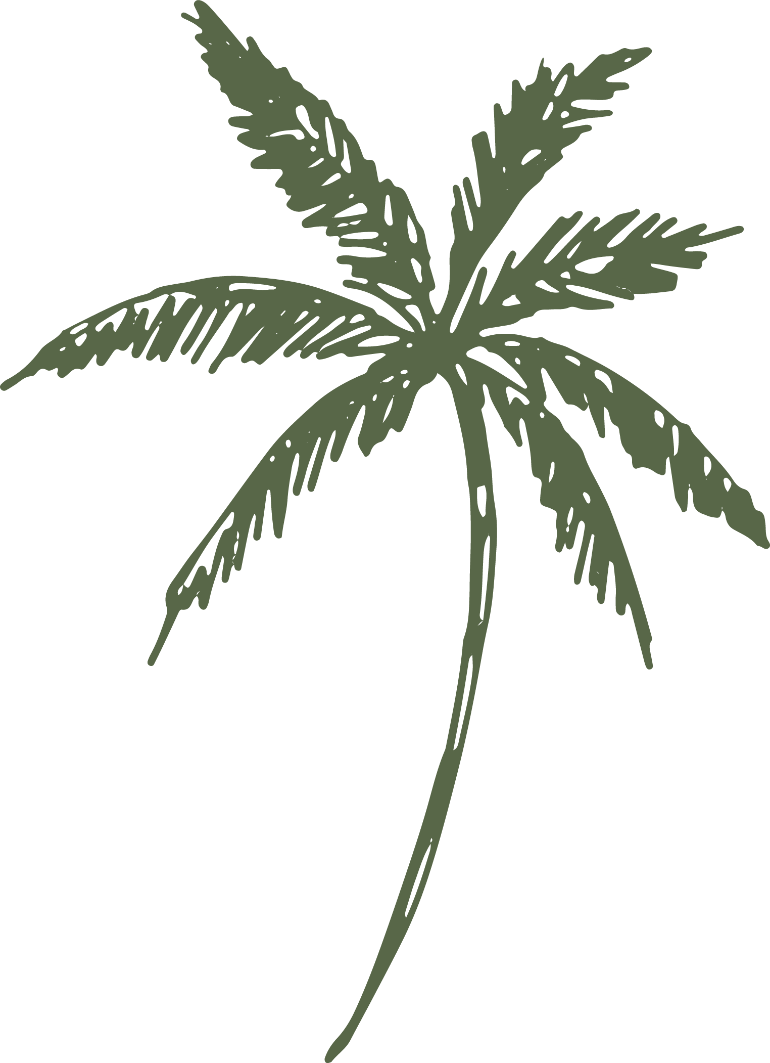 A digital illustration of a cannabis plant with multiple elongated, serrated leaves.