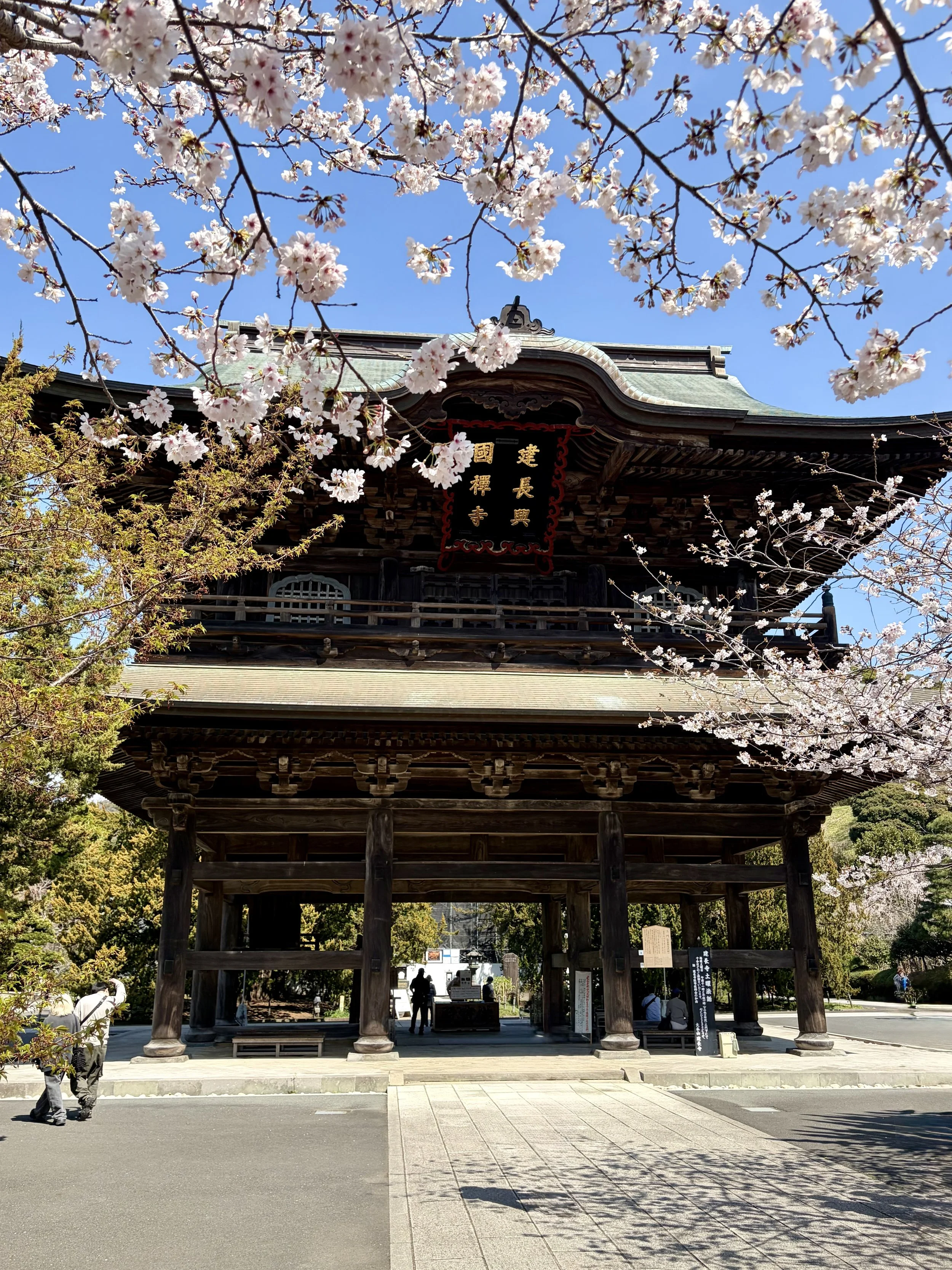 WHOLESOME AND SPIRITUAL DAY IN KAMAKURA