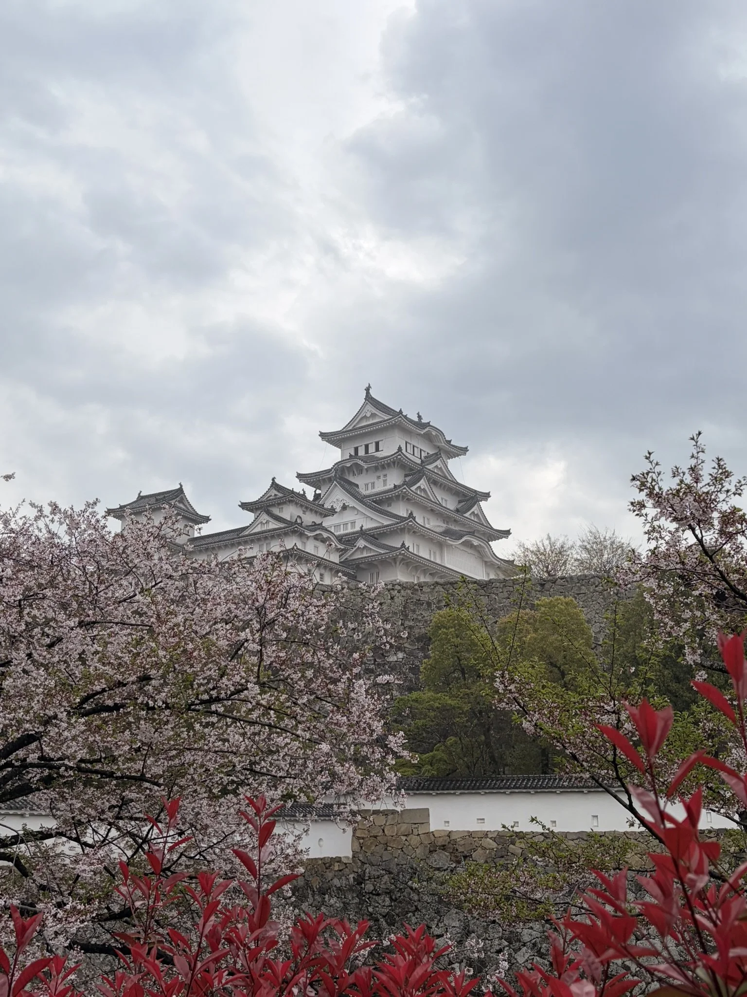 IMG_6900.JPEG