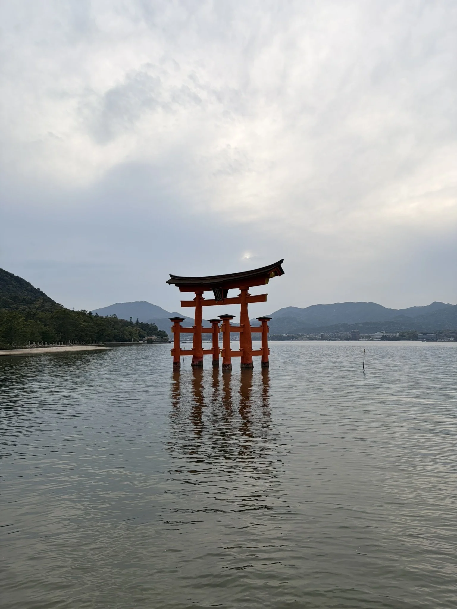 IMG_7049.JPEG