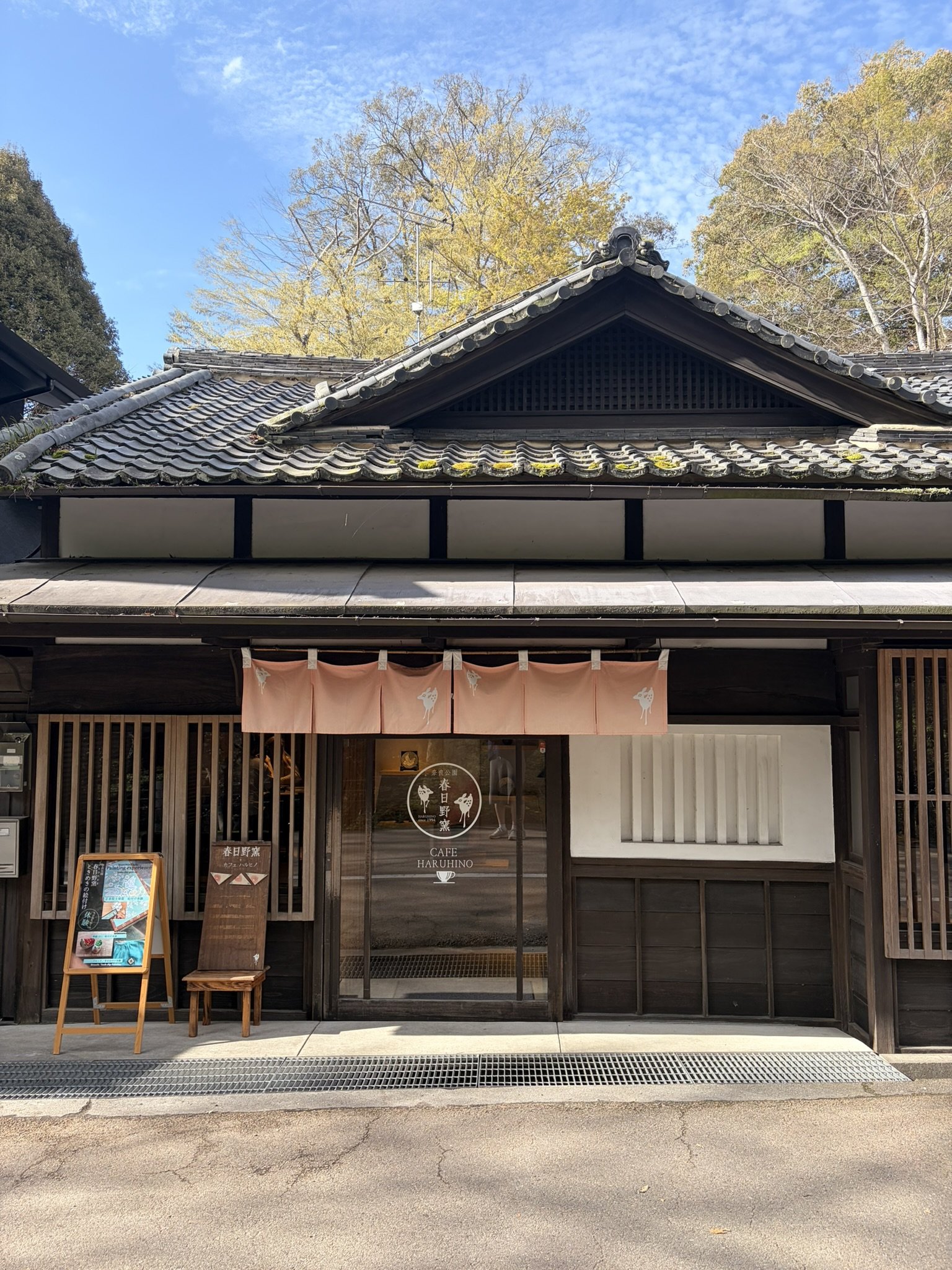IMG_6582.JPEG