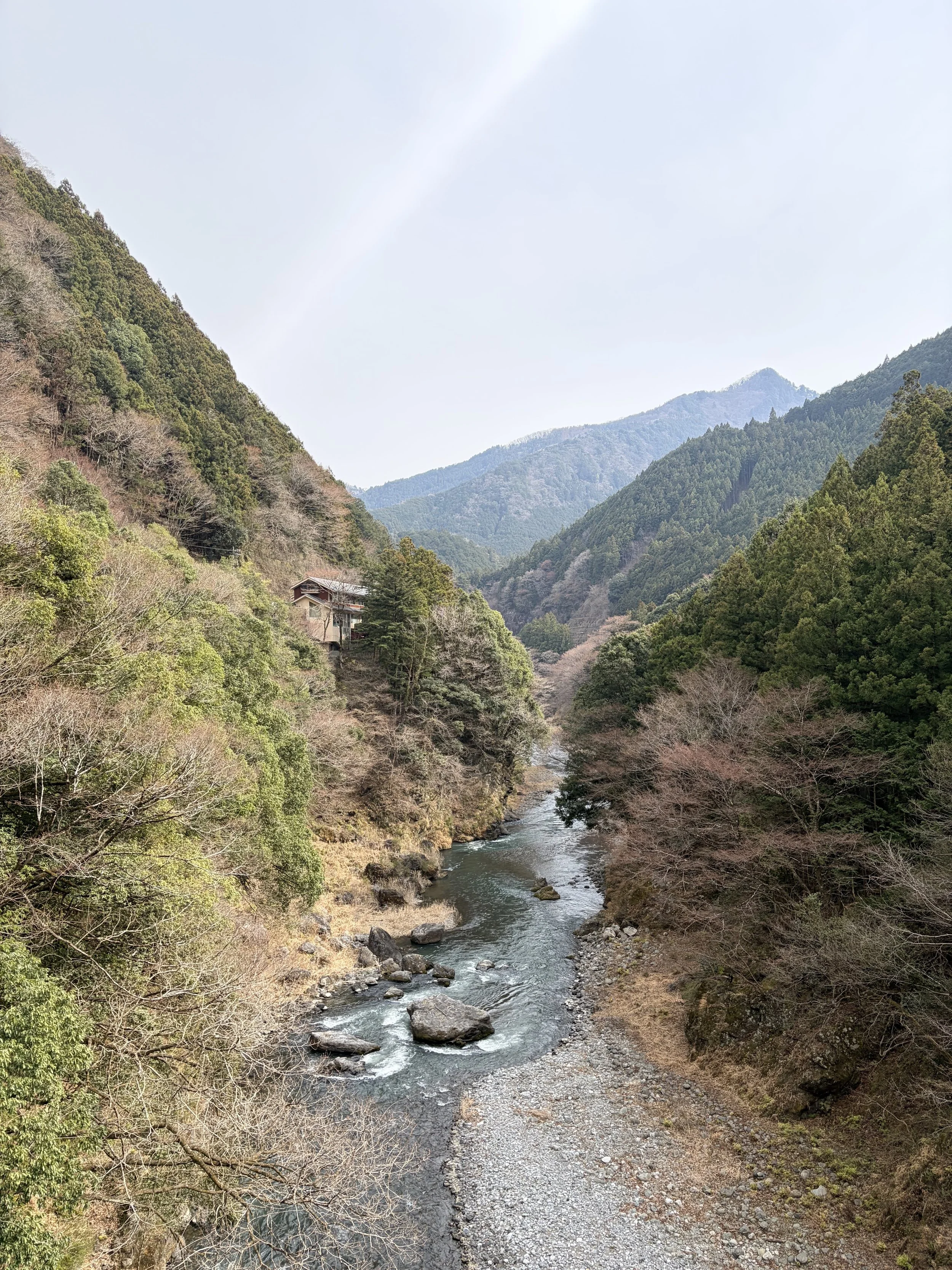 IMG_6046.jpeg
