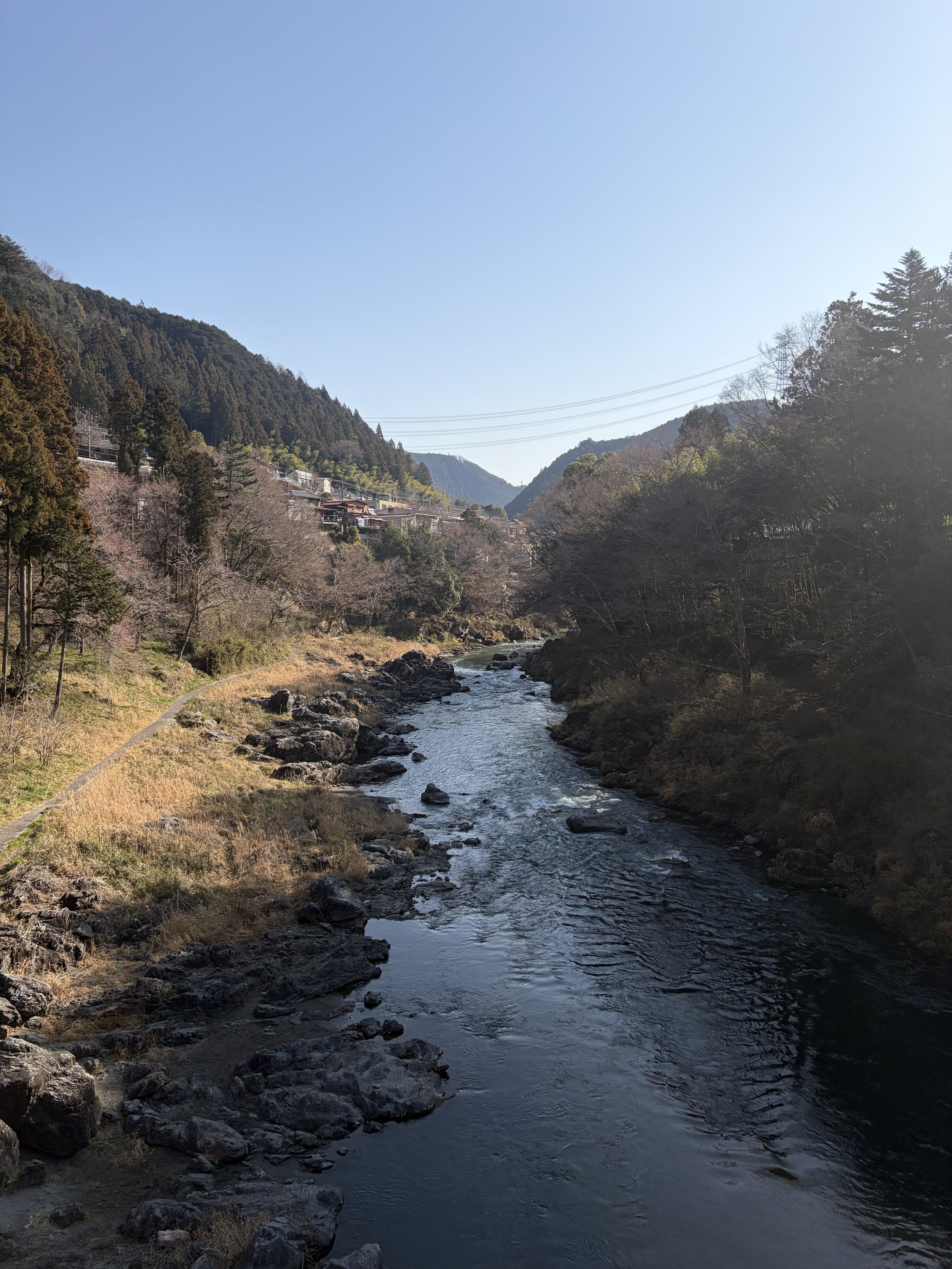 IMG_5966.jpeg