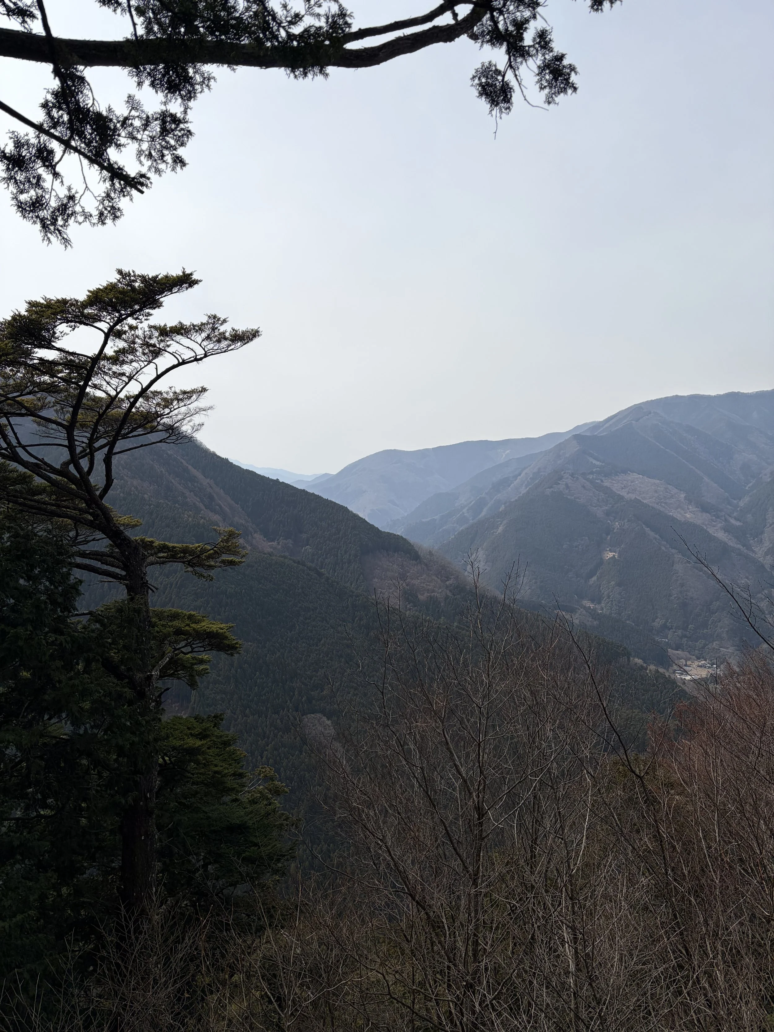 IMG_6034.jpeg