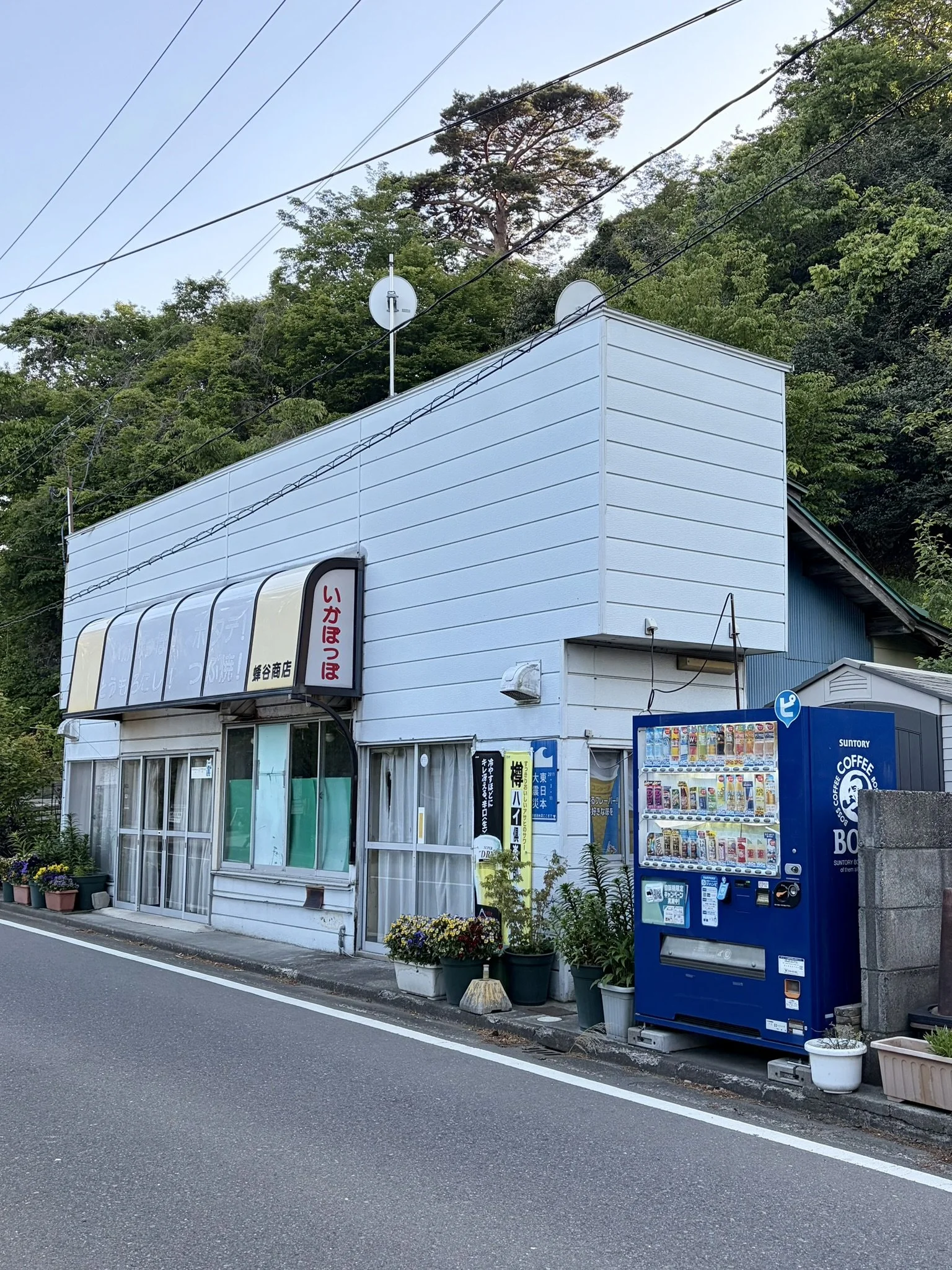 Matsushima 2 (5).JPEG