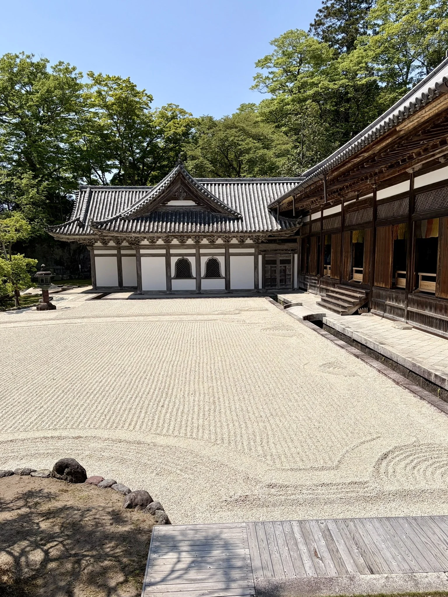 IMG_8161.JPEG