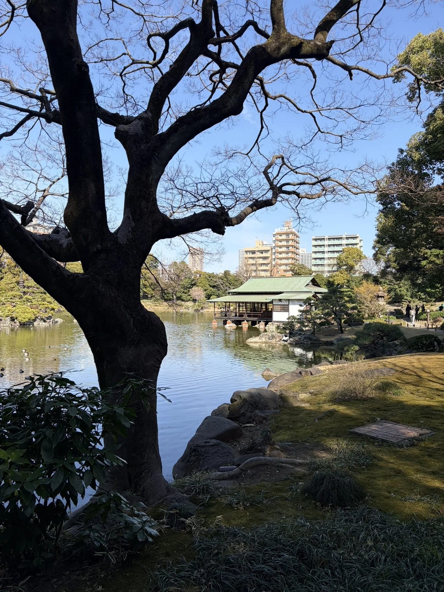 Kyosumi gardens