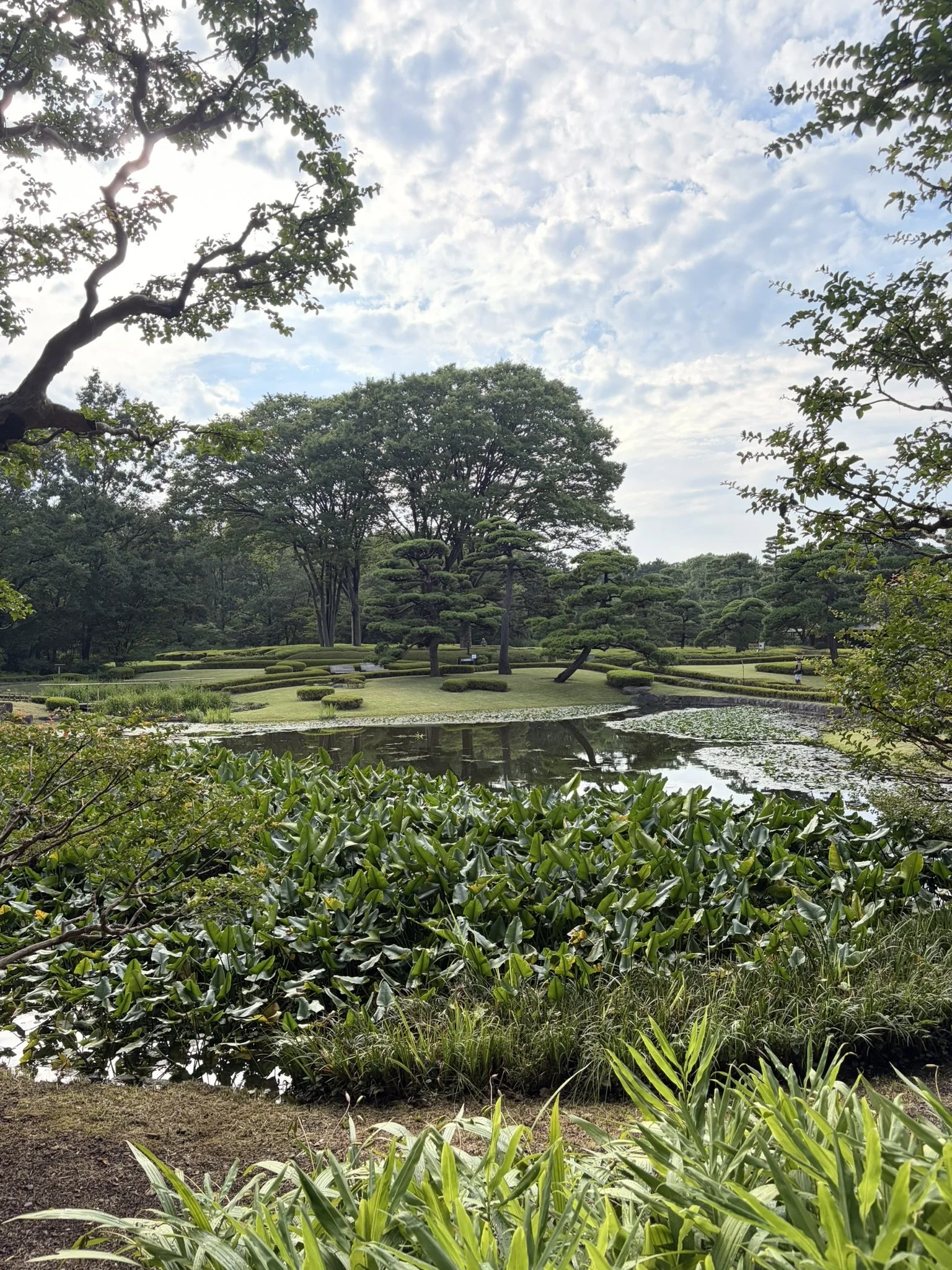 Ninomaru garden (Imperial palace)