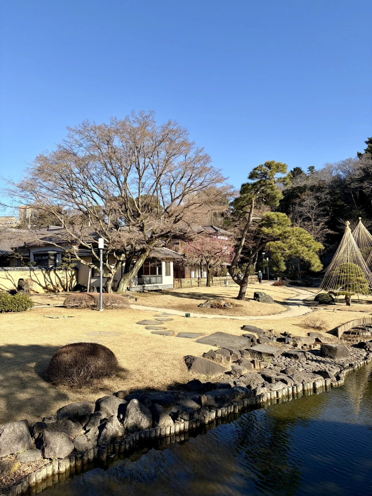 Higo-Hosokawa garden