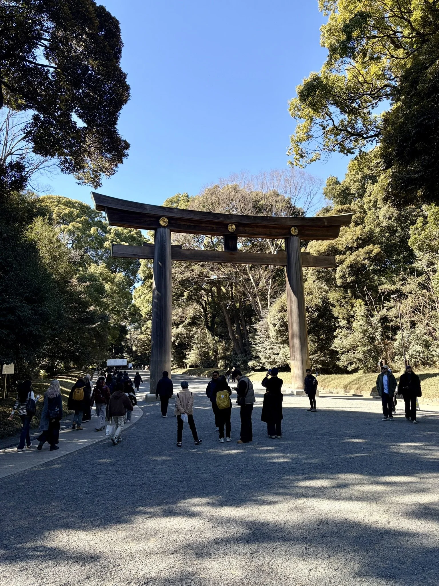 Meiji Jingu park