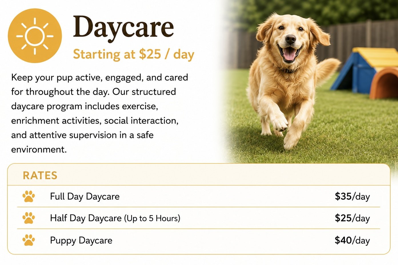 A flyer advertising dog daycare services featuring a happy golden retriever running on grass with agility equipment in the background. The flyer includes pricing information: full day $35, half day $25, puppy daycare $40, and mentions activities like exercise, social interaction, and supervised care.