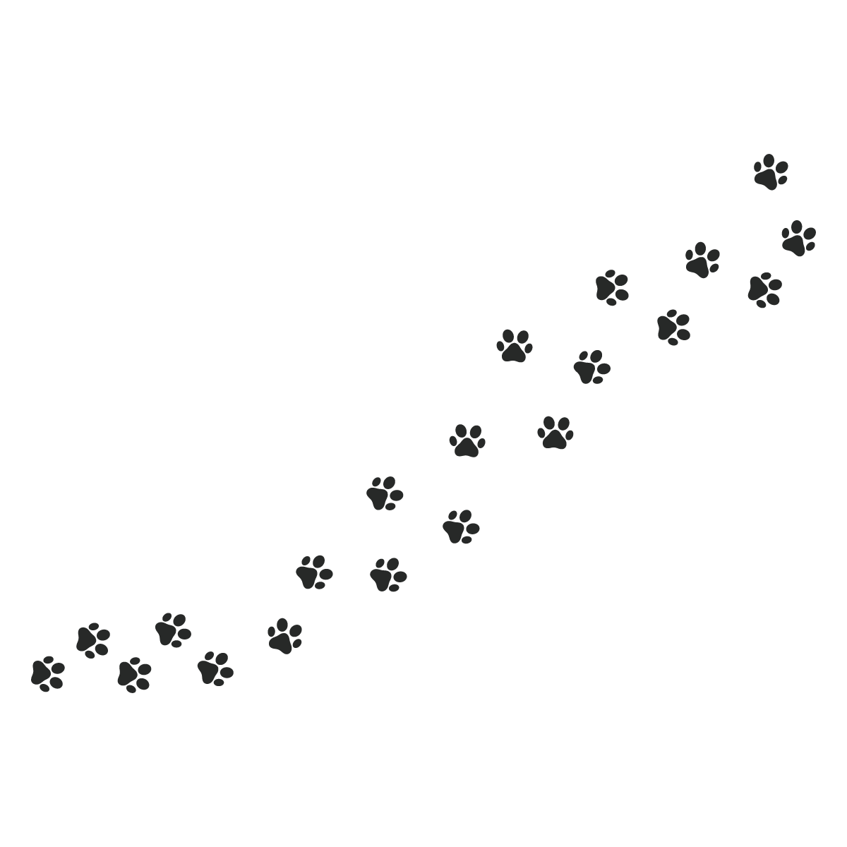 Black silhouette of a running dog with a trail of paw prints following behind.