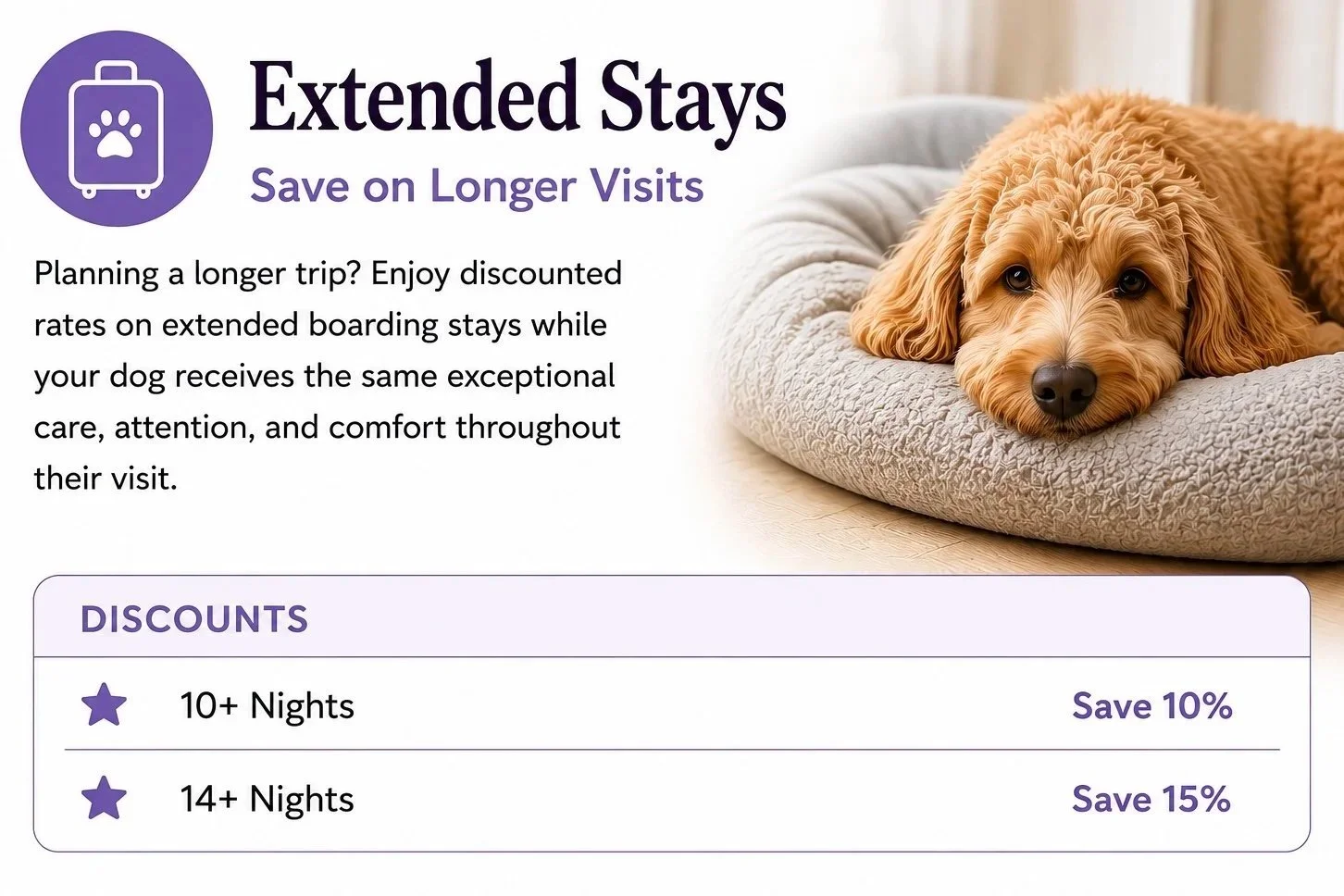 Advertisement for extended stays at a hotel with a picture of a golden doodle dog lying on a plush dog bed. Text highlights discounts for stays over 10 and 14 nights, saving 10% and 15%, respectively.