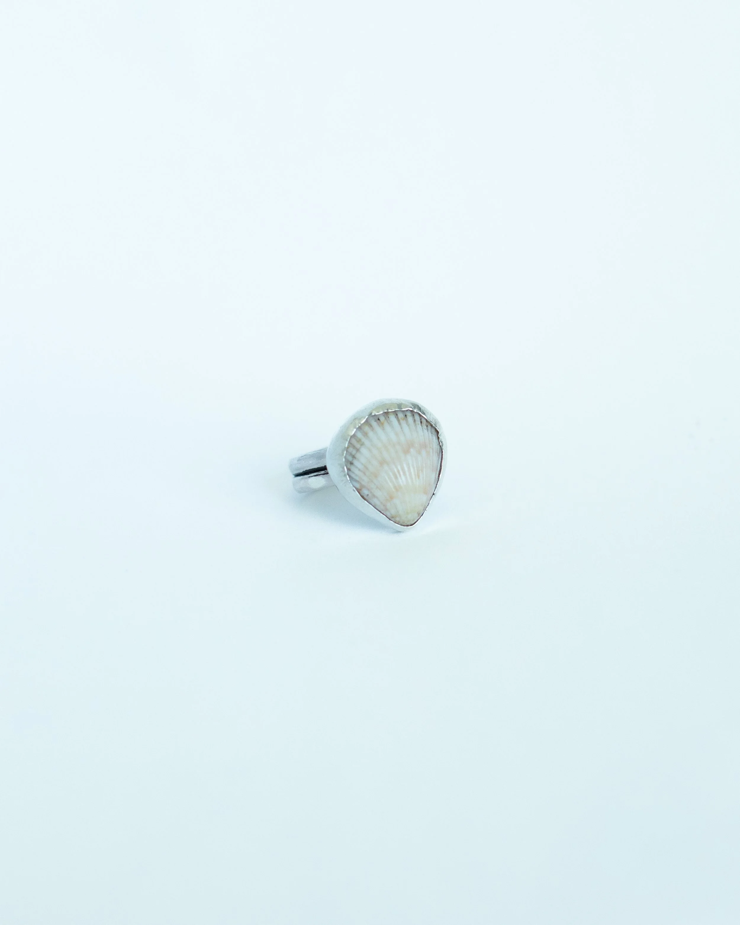 seasidesilver_ciaracamrynphoto_5.13-77.jpg