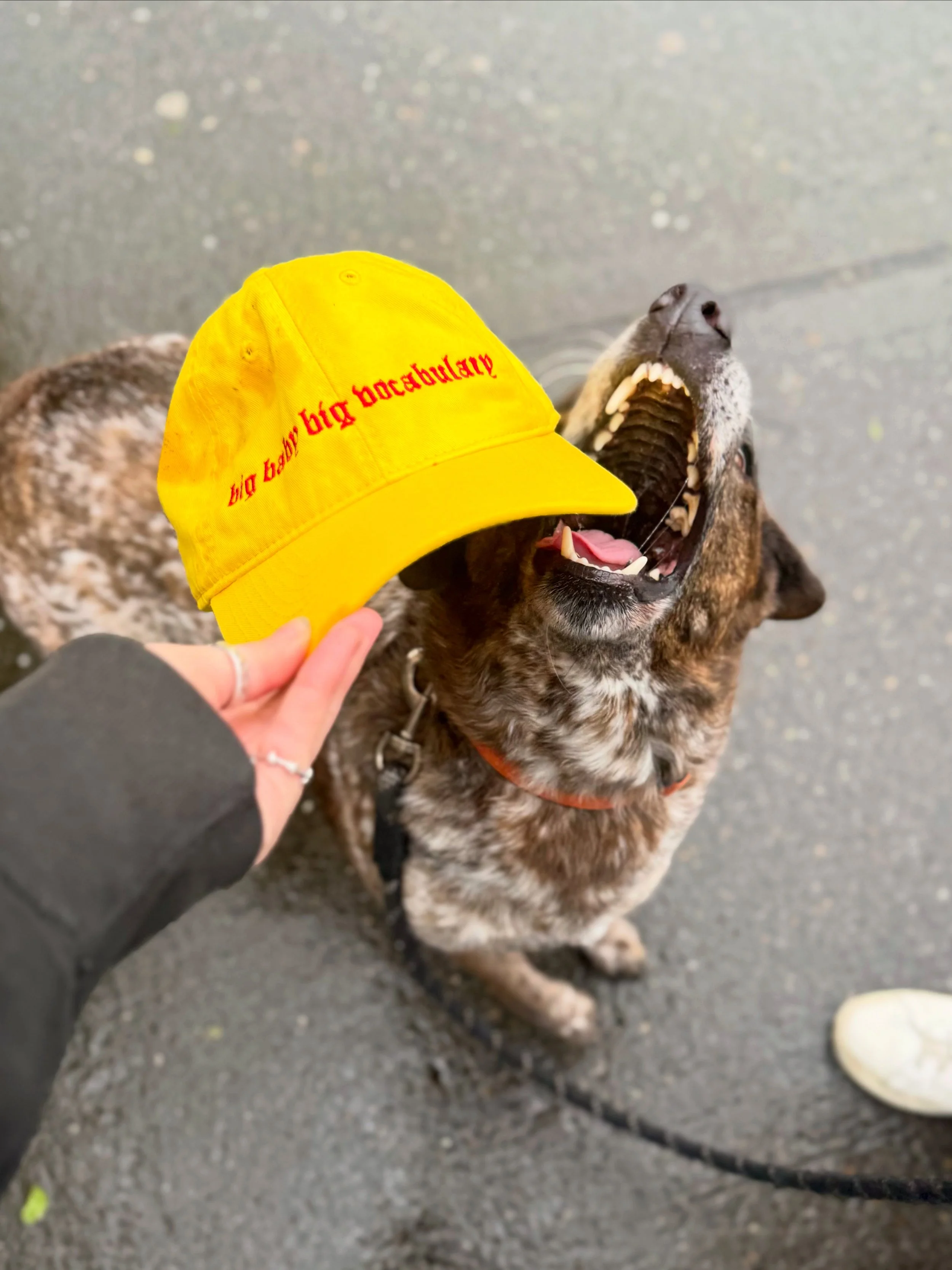 Big Baby Cap (Yellow)