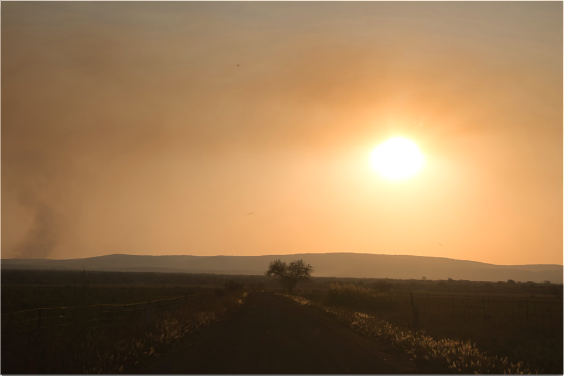 Silhouetted Solitude : Fine Art Print