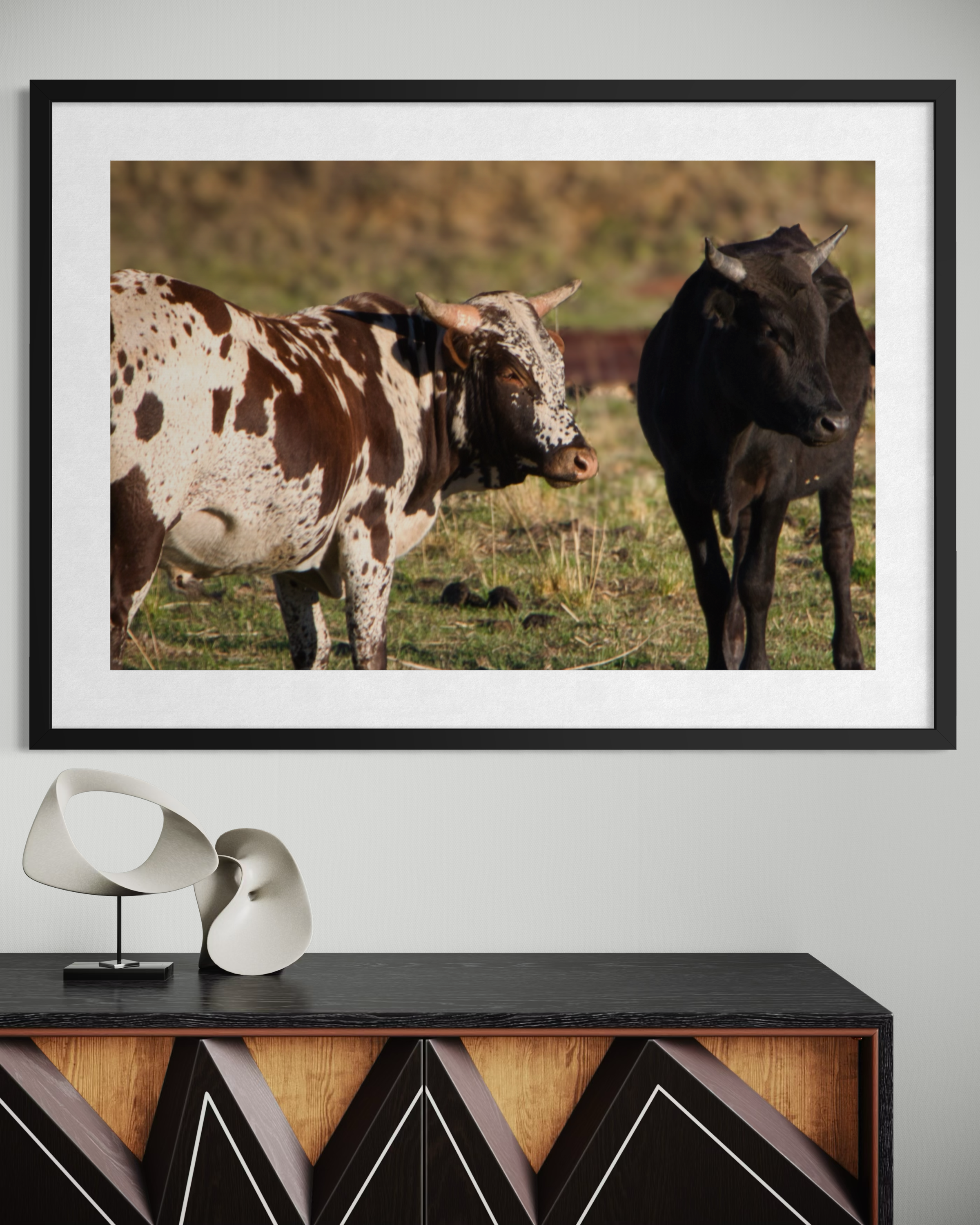 20160929-SA Birds & Wildlife-Pasture Companions MOCKUP.png