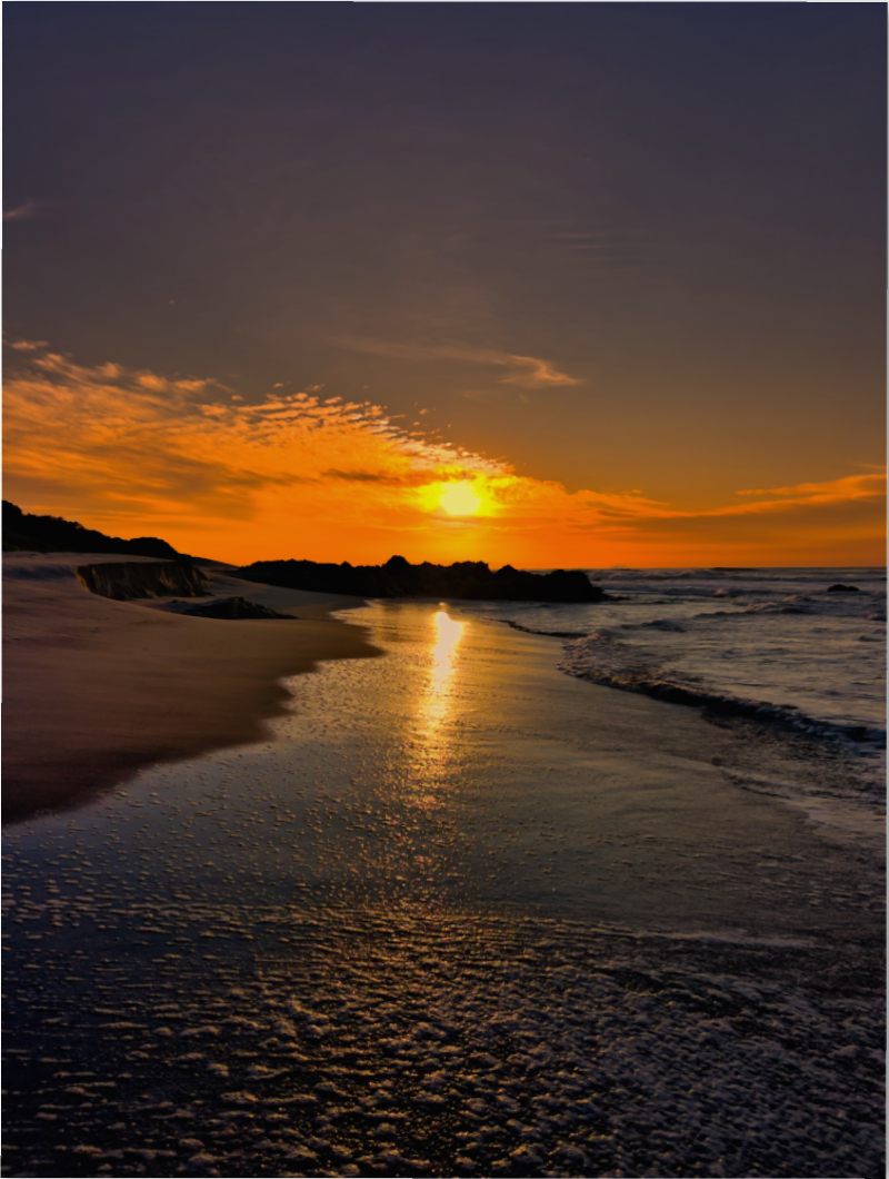 20260716-SA Seascapes-Ocean's Golden Touch DISPLAY.png