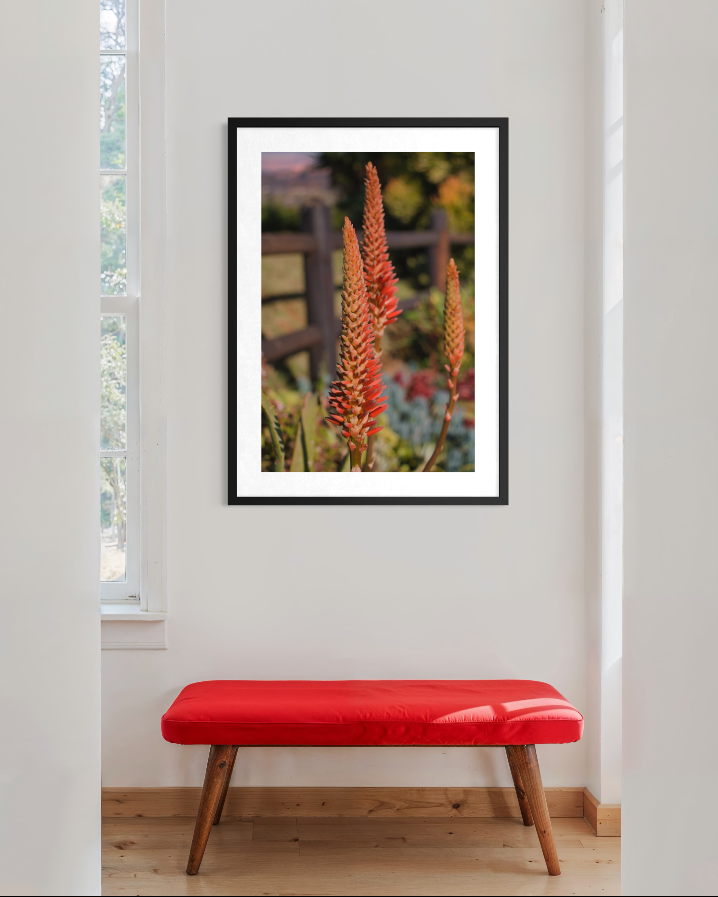 0260612-Flowers-Earth's Fiery Elegance MOCK UP.png